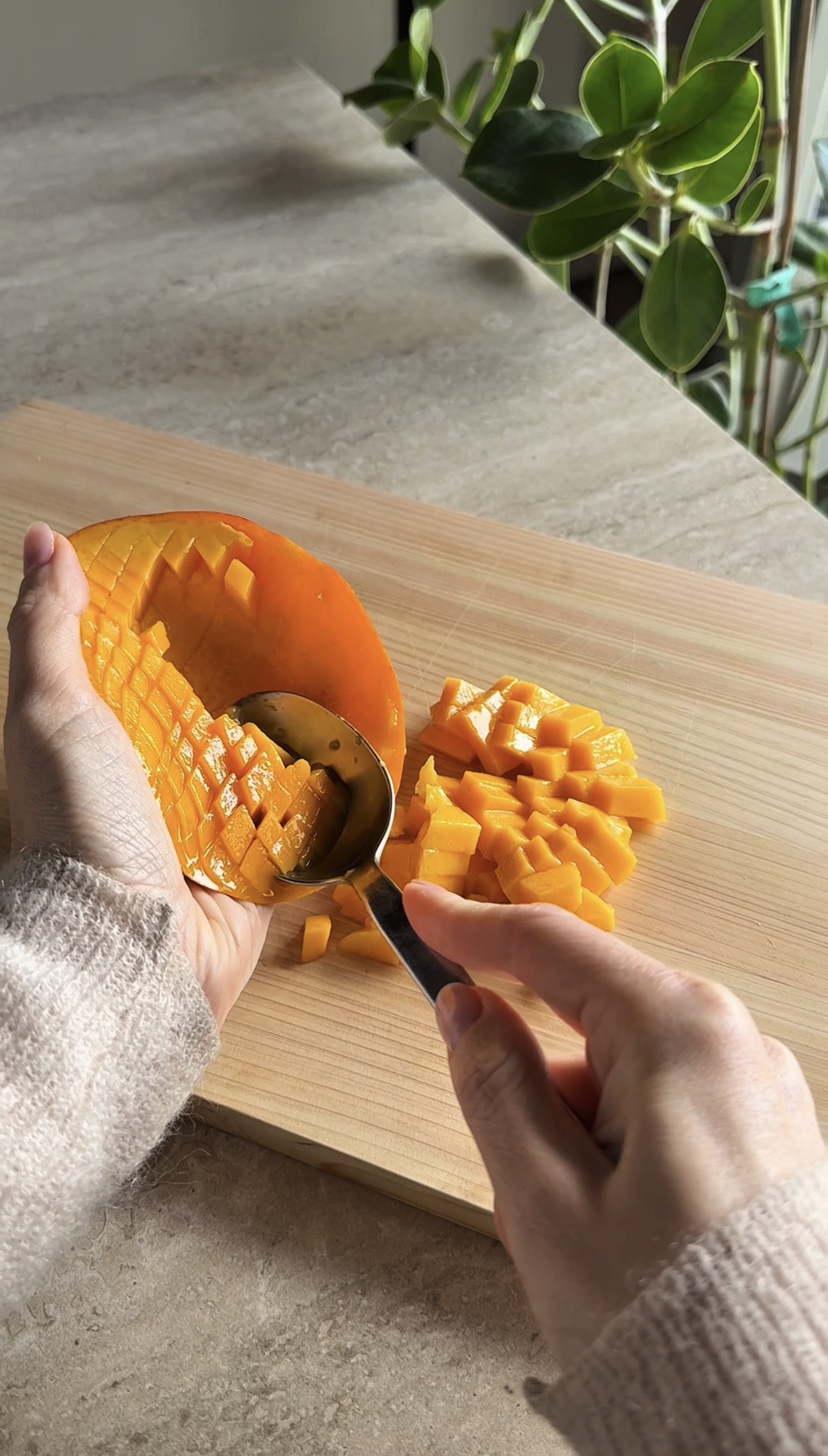 Conchiglie di riso ricetta step 1
