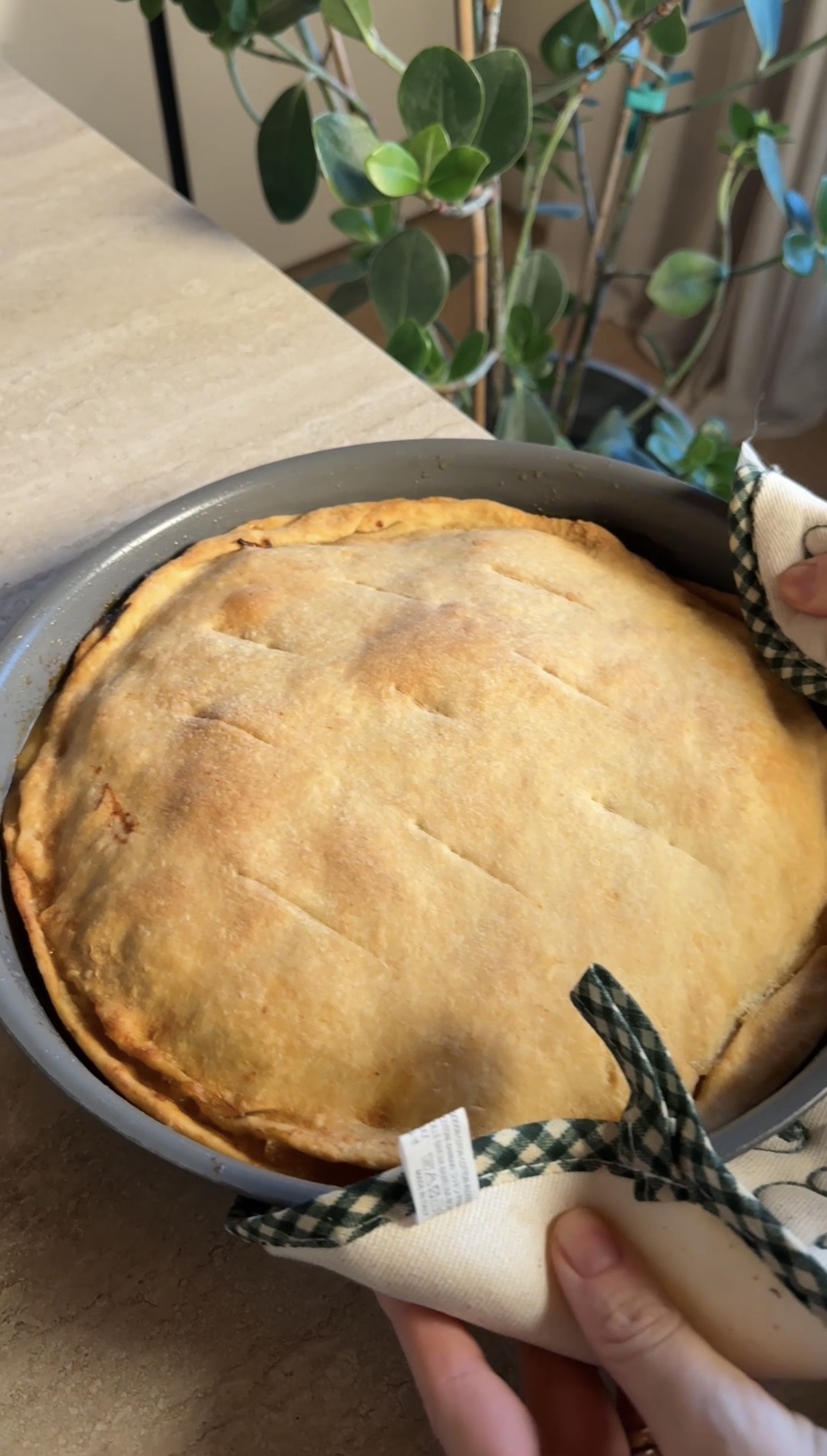 Calzone di cipolle ricetta step 7