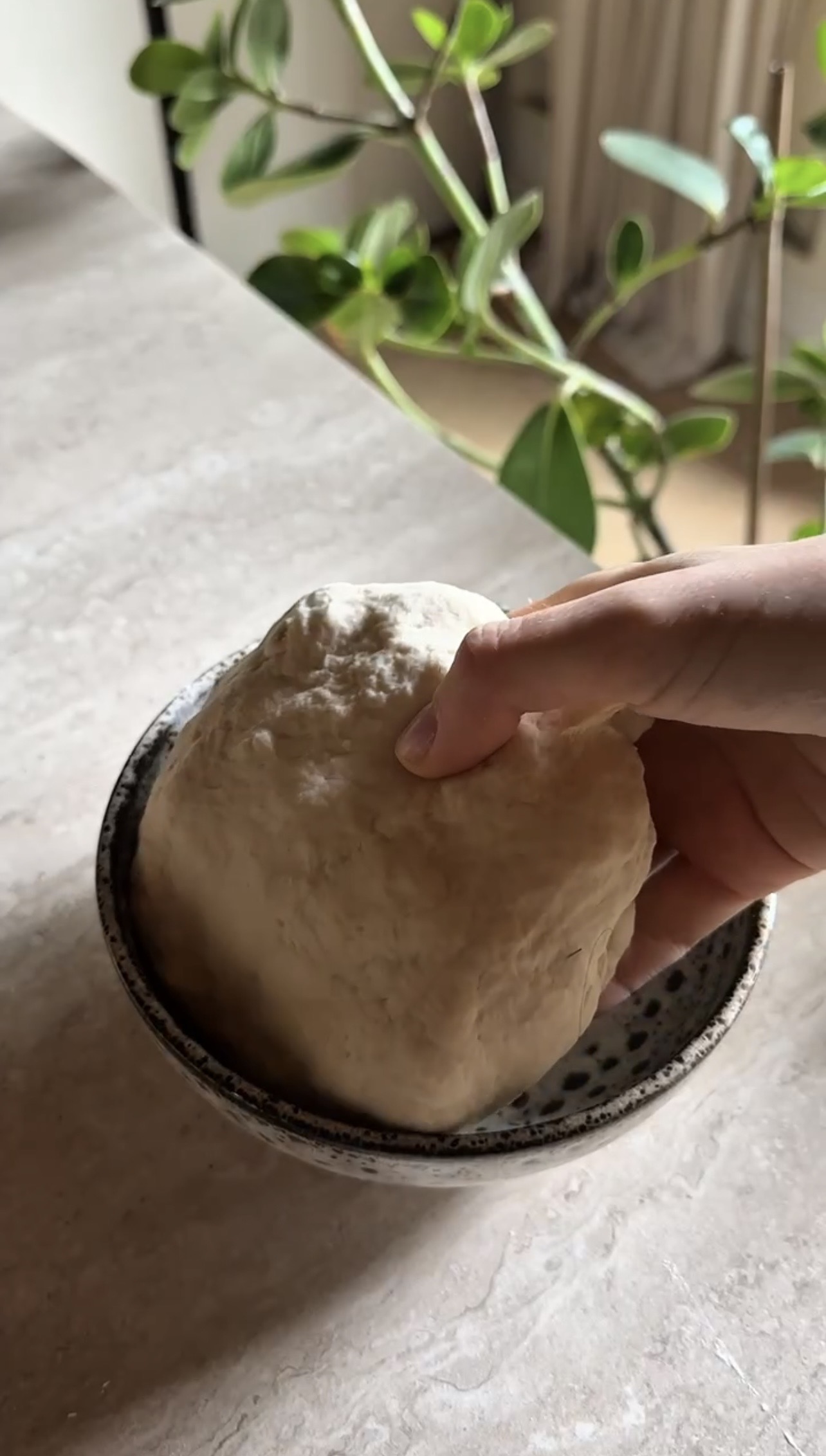 Udon al sesamo ricetta step 2