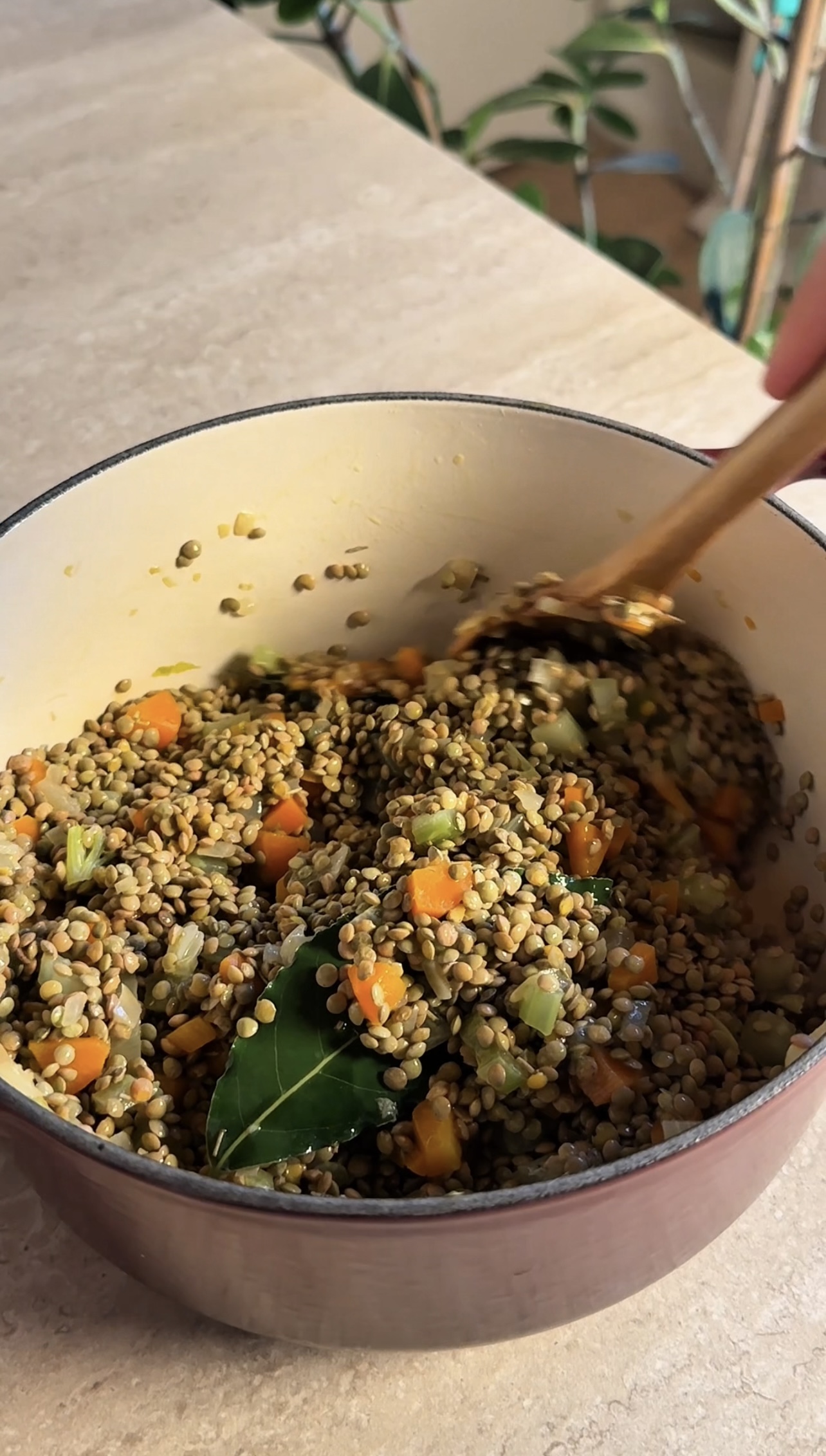 Lenticchie di Capodanno ricetta step 3