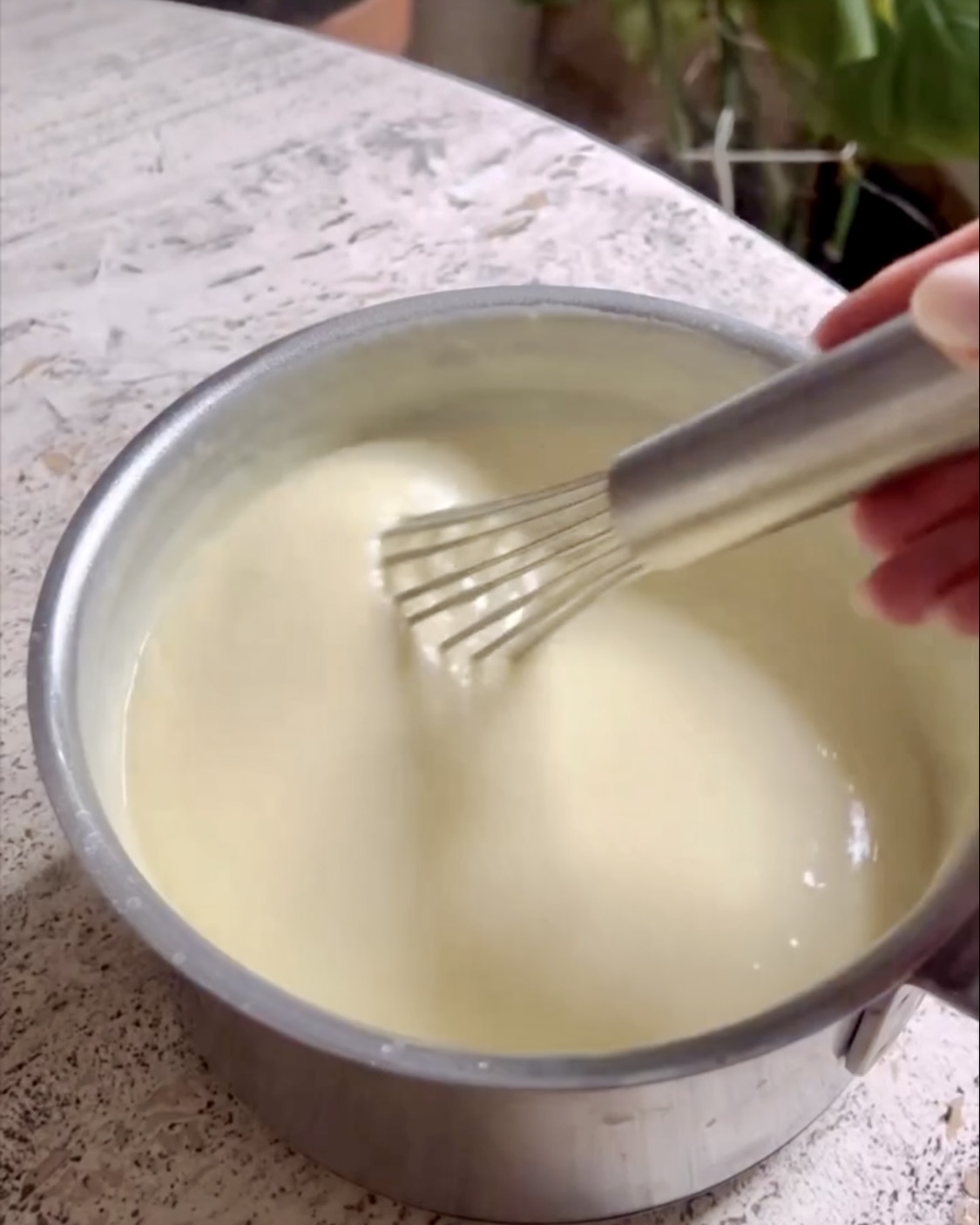 Lasagne alle zucchine ricetta step 2