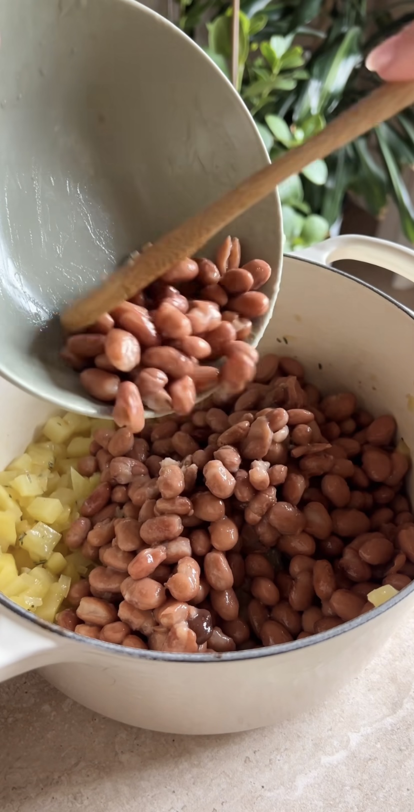 Pasta fagioli e patate ricetta step 2