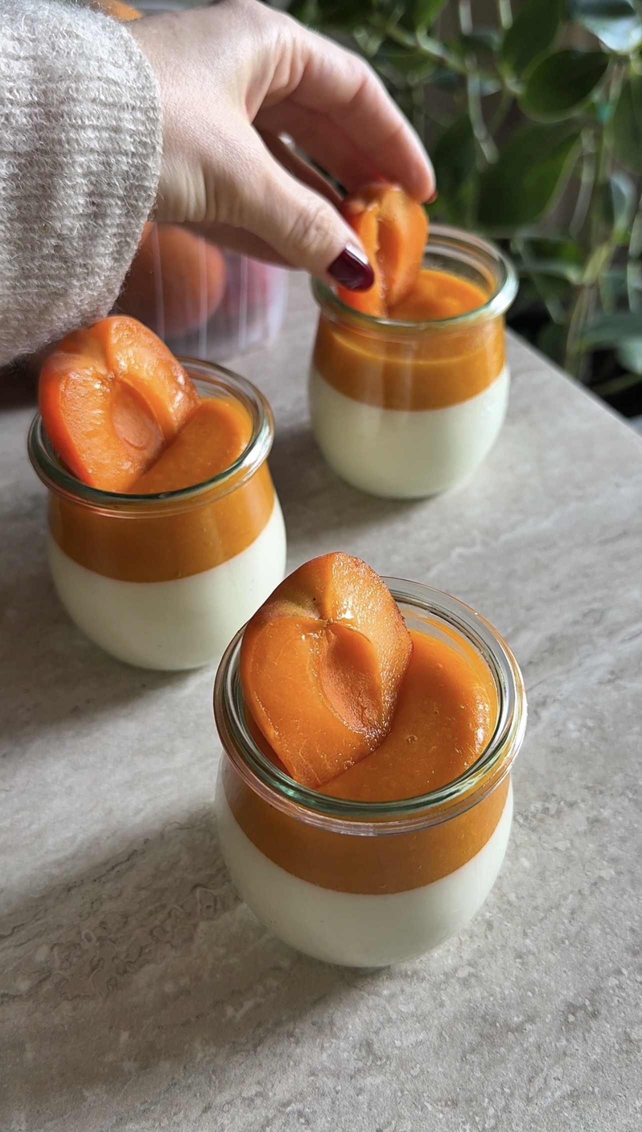 Panna cotta alle albicocche ricetta step 6