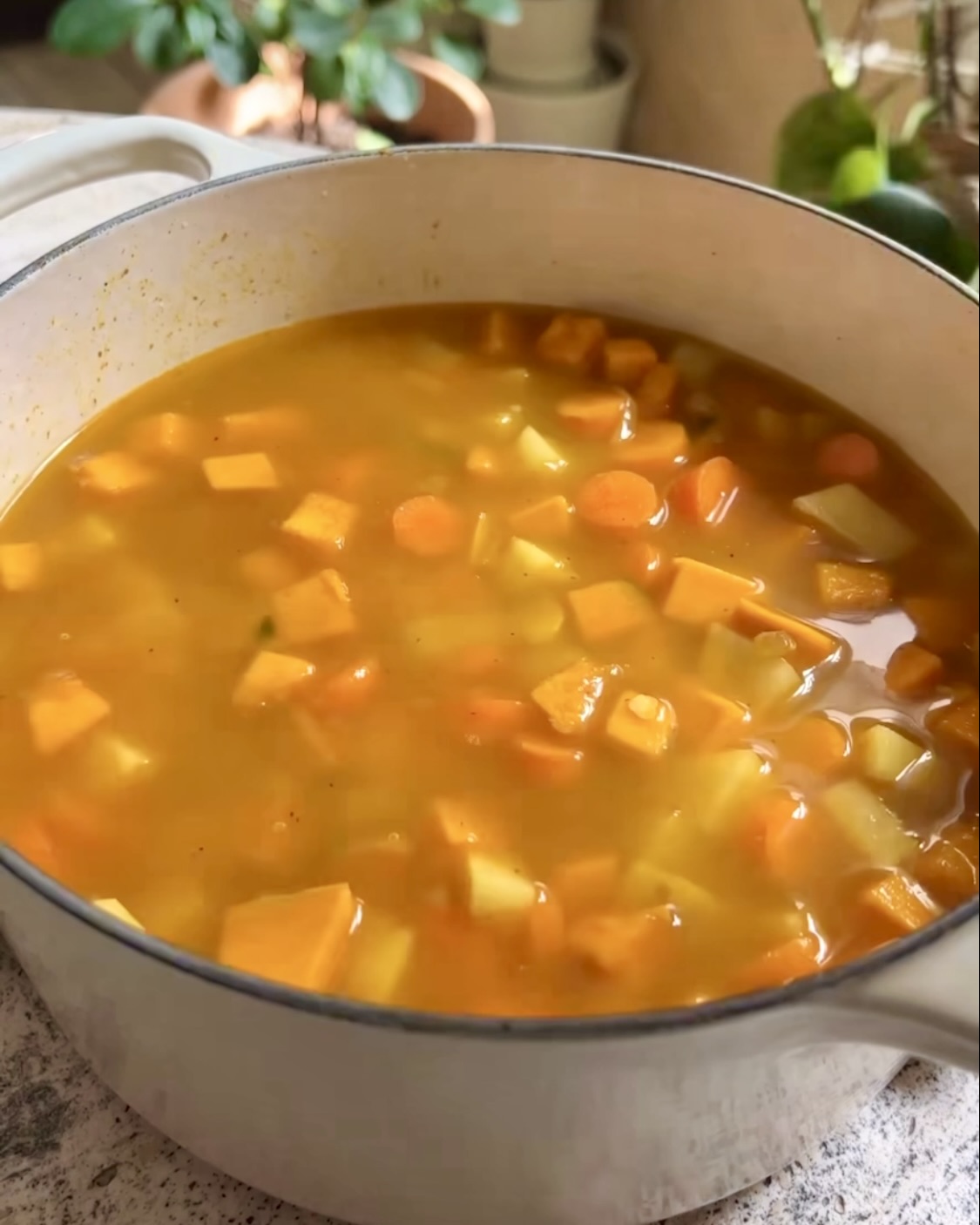 Zuppa di lenticchie e verdure  ricetta step 3