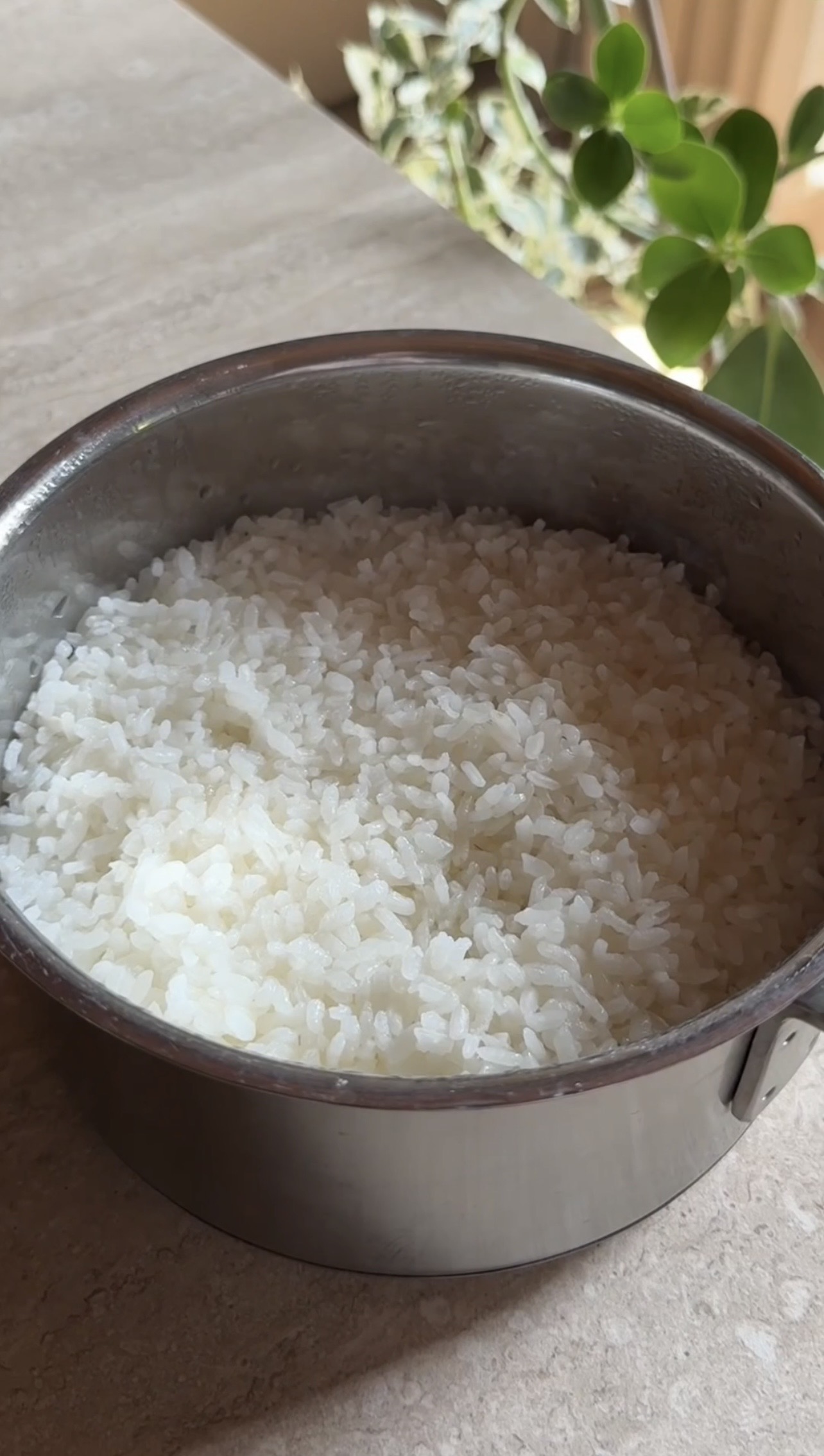 Temaki al vegetonno ricetta step 2