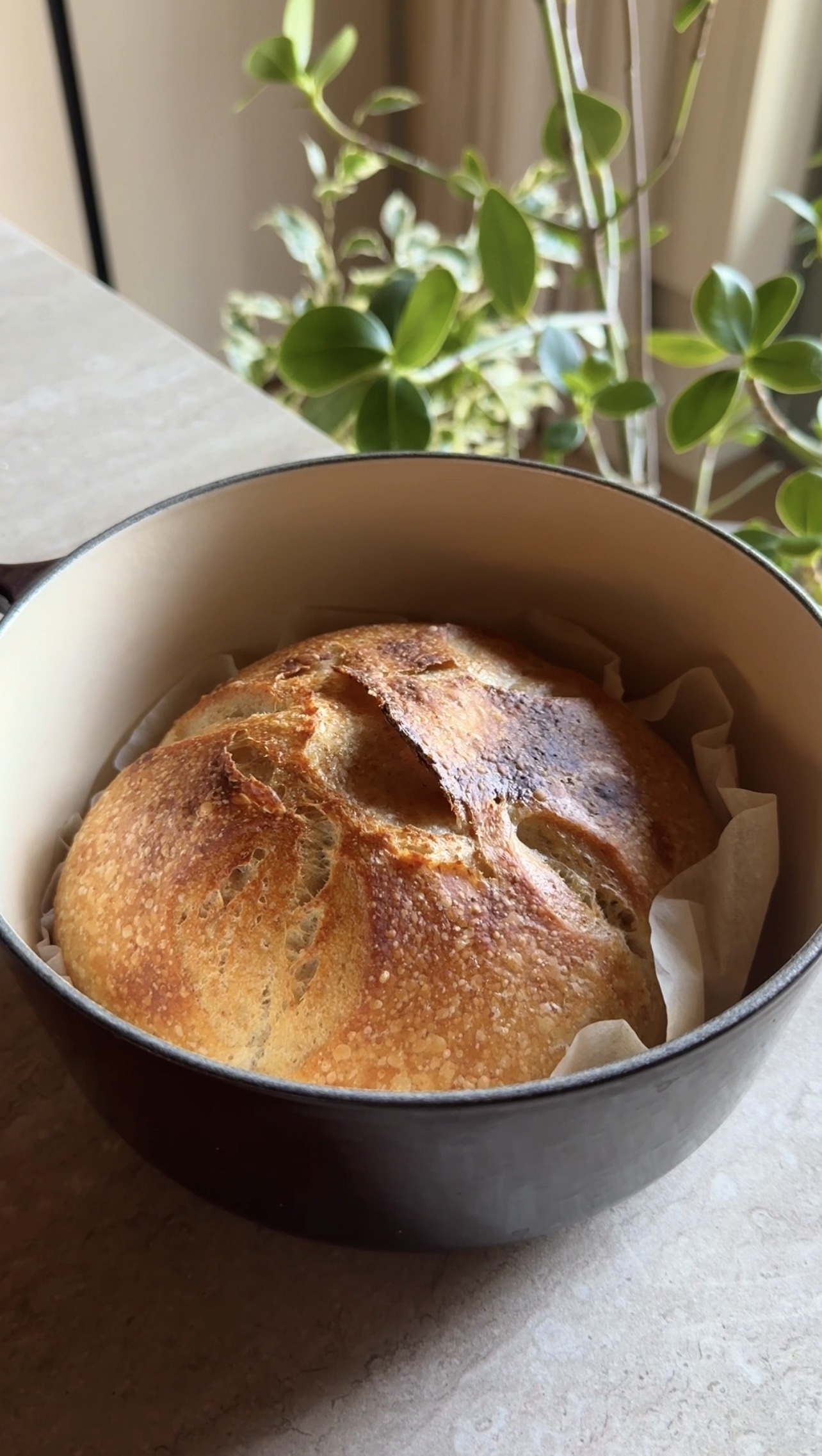 Pane con lievito madre ricetta step 10