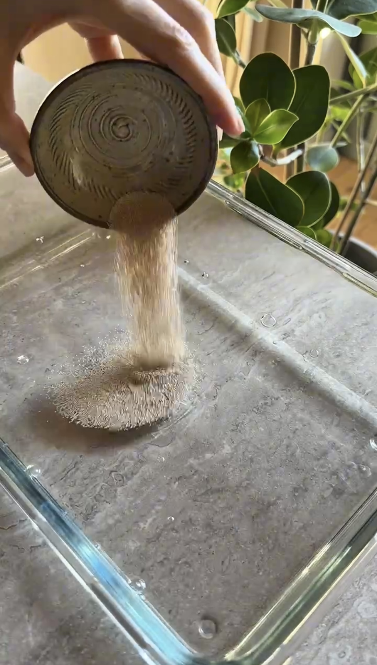 Pizza in friggitrice ad aria ricetta step 1