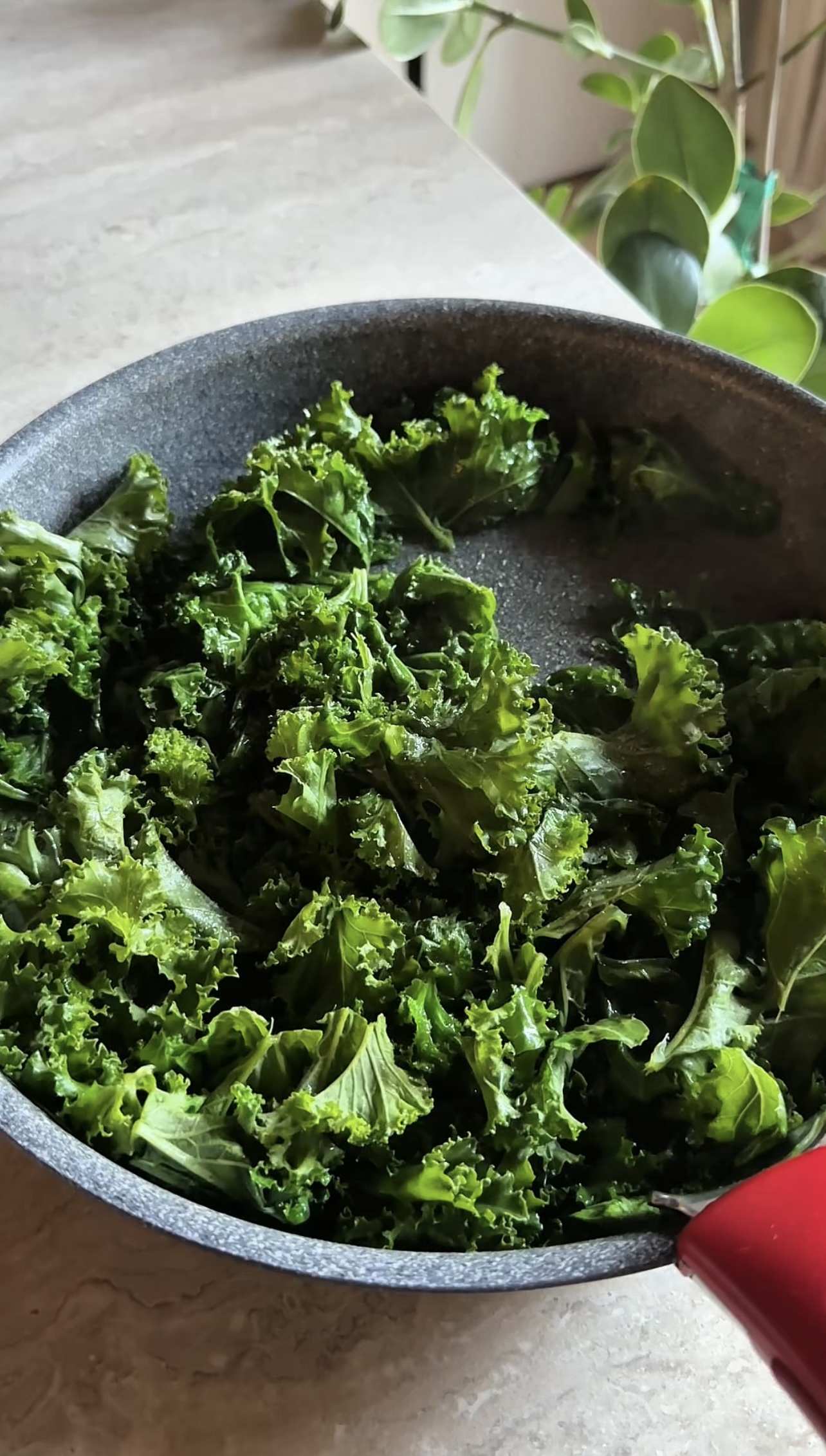 Pasta al pesto di cavolo riccio ricetta step 2