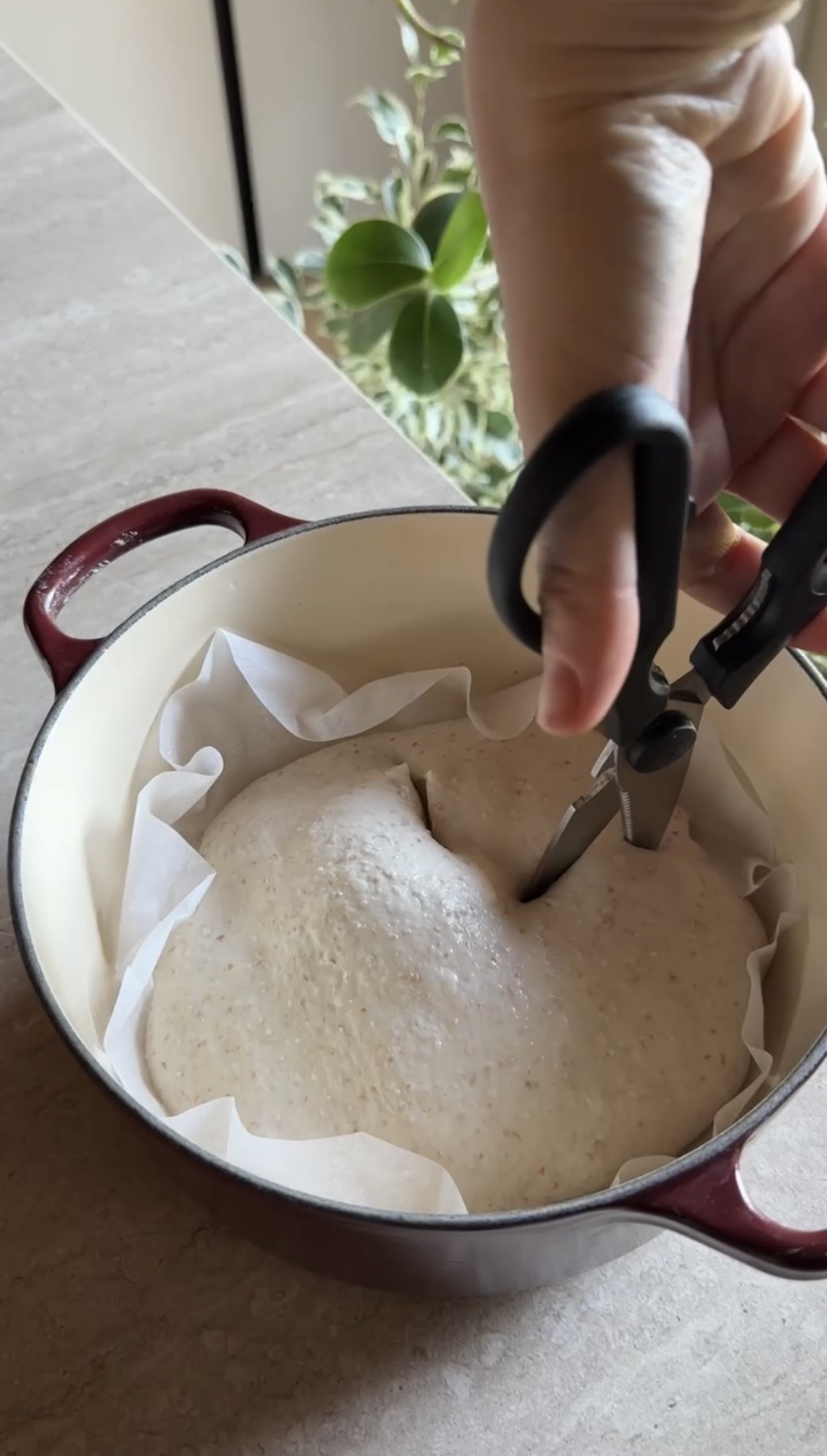 Pane con lievito madre ricetta step 8