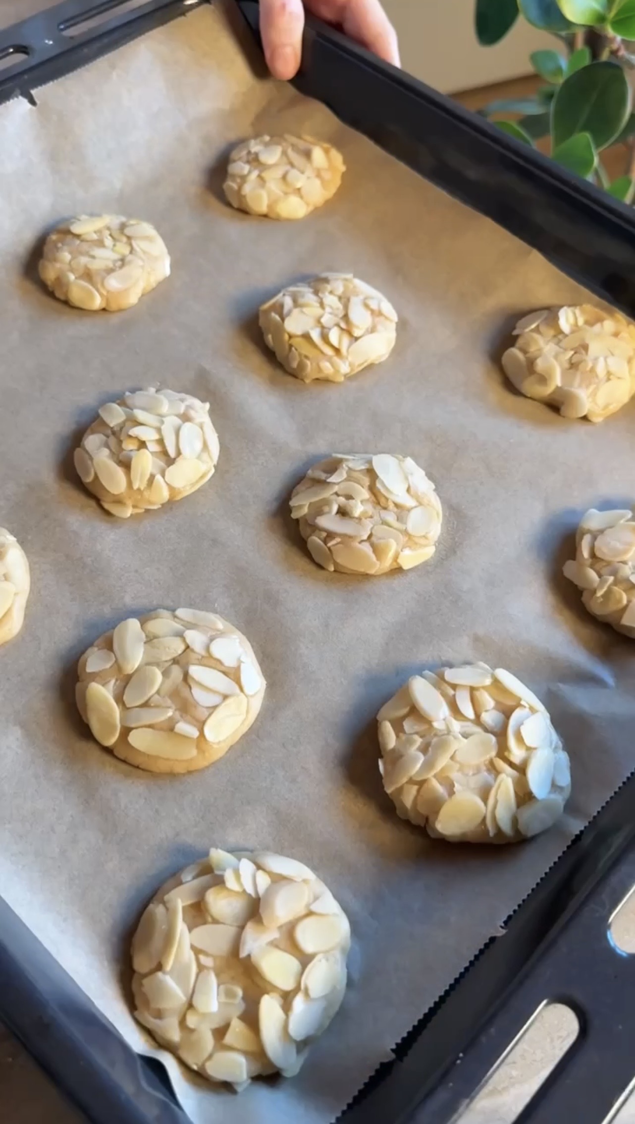 Fiocchi alle mandorle ricetta step 5