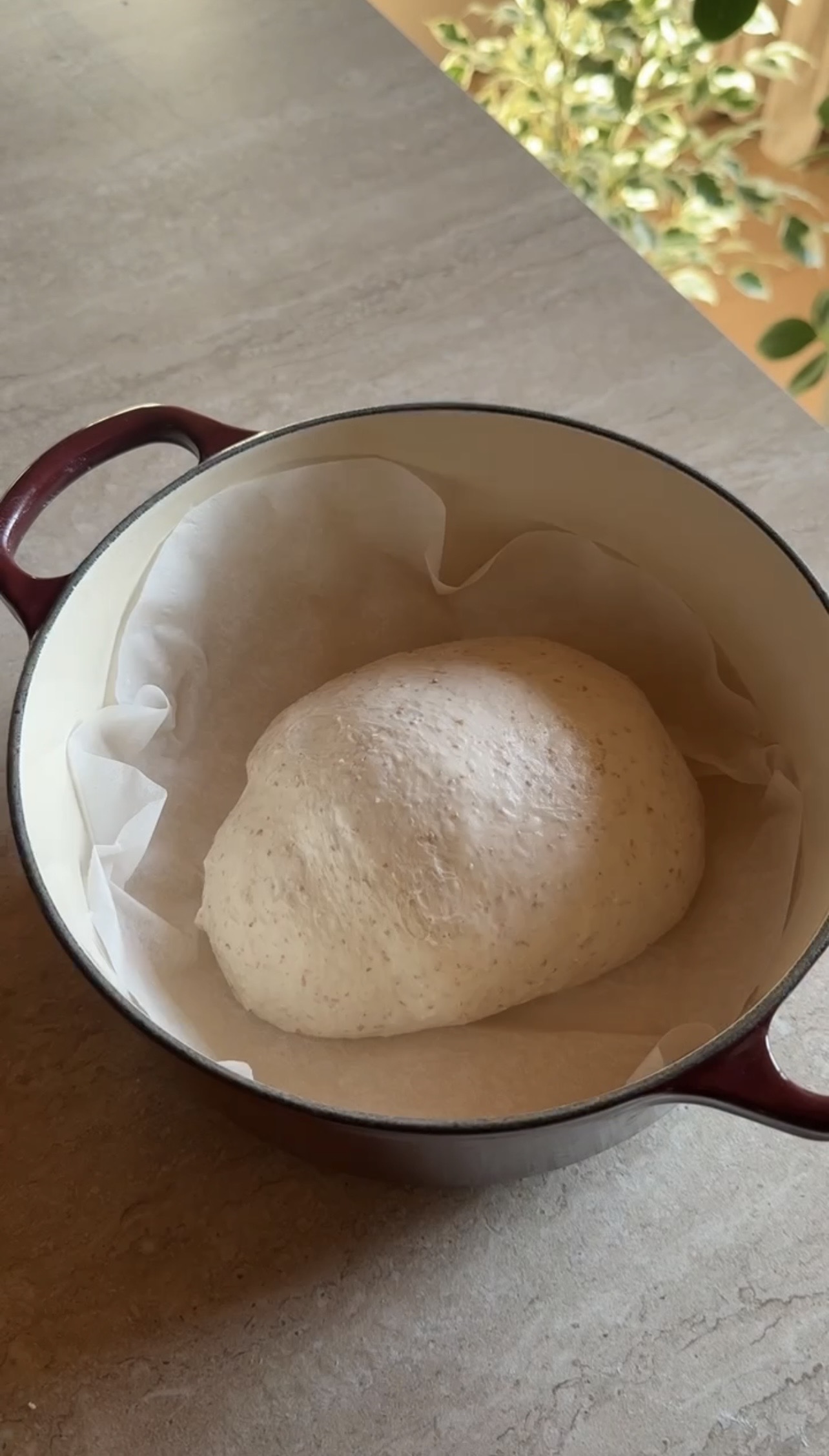 Pane con lievito madre ricetta step 7