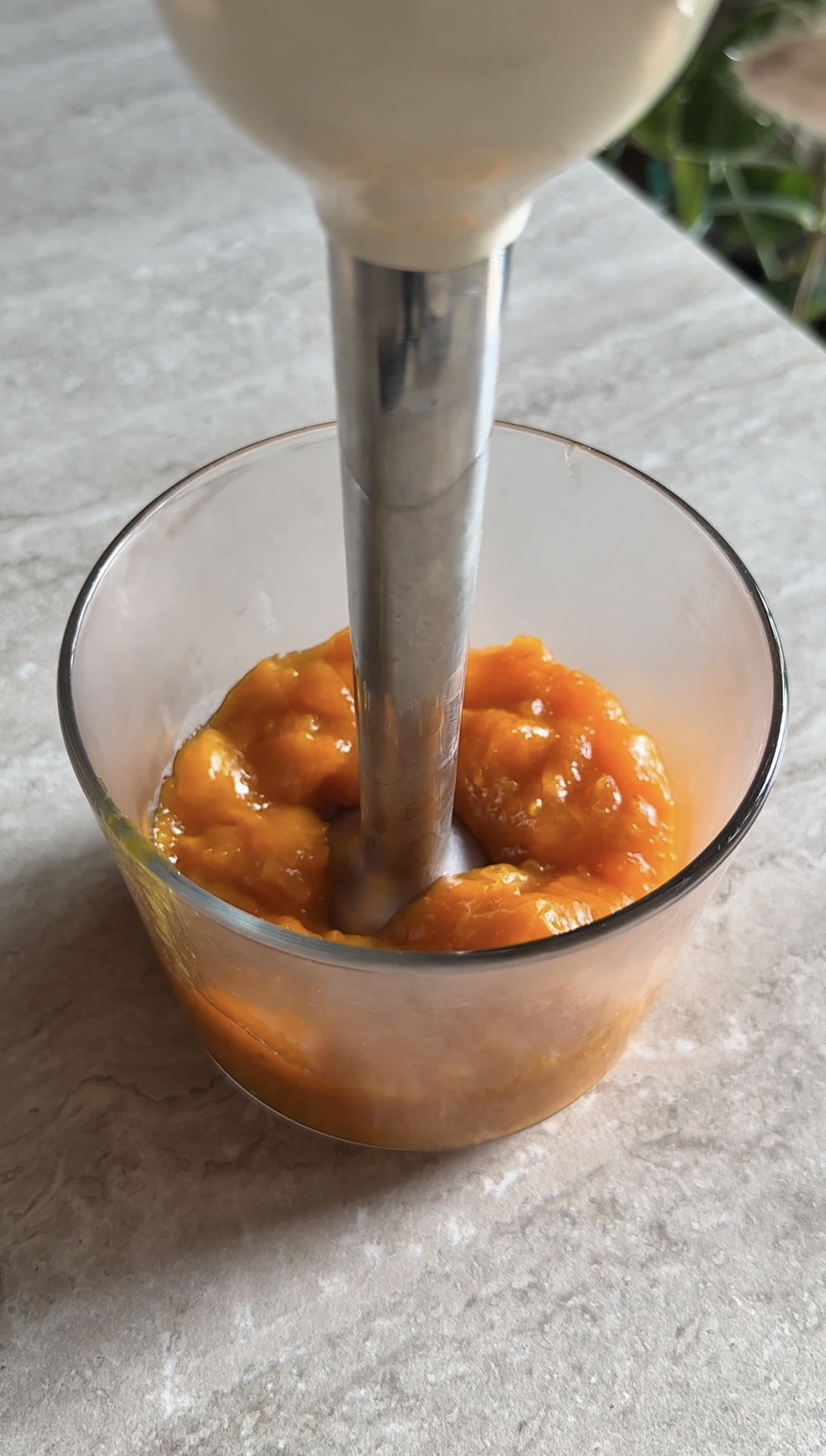 Panna cotta alle albicocche ricetta step 5