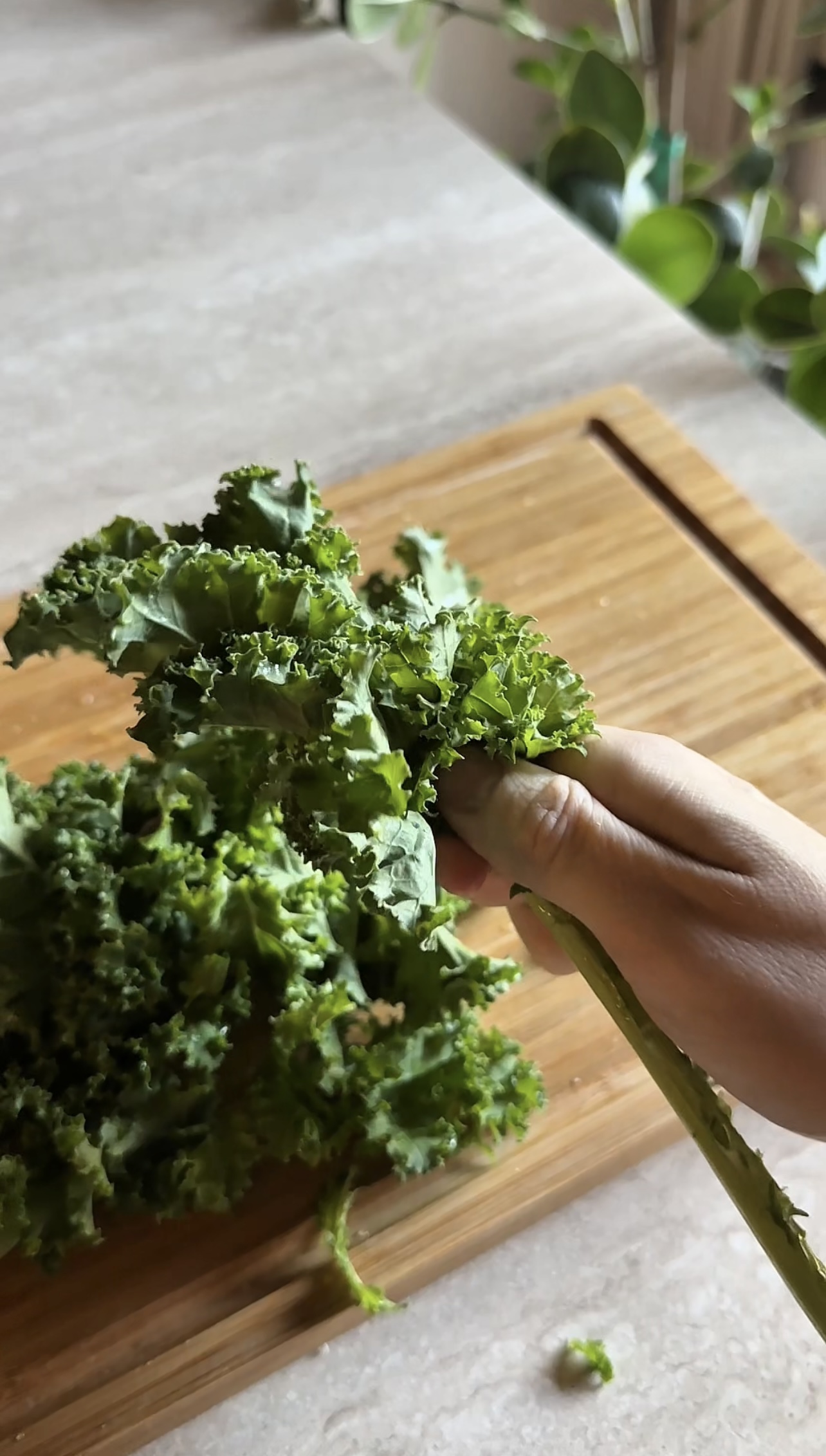 Pasta al pesto di cavolo riccio ricetta step 1