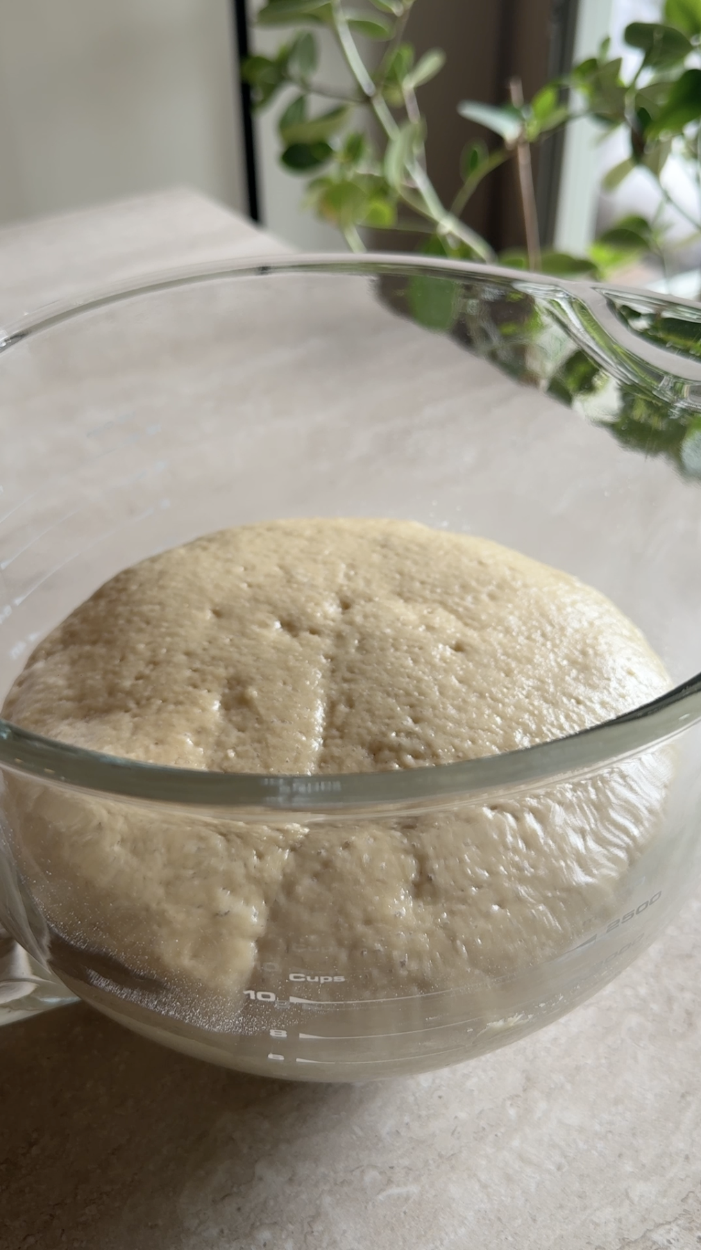 Panettone ricetta step 3