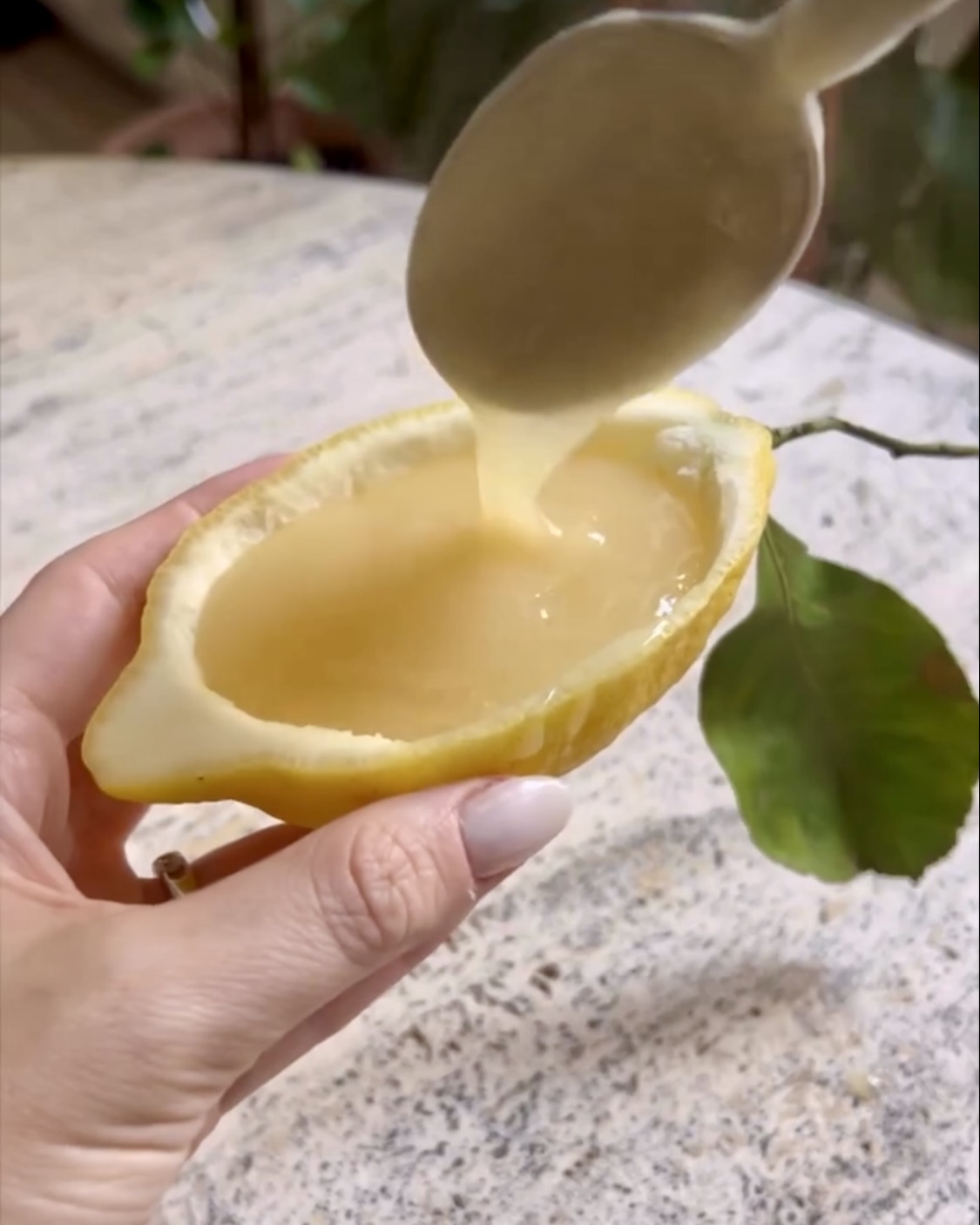 Limoni ripieni di crema al limone ricetta step 4