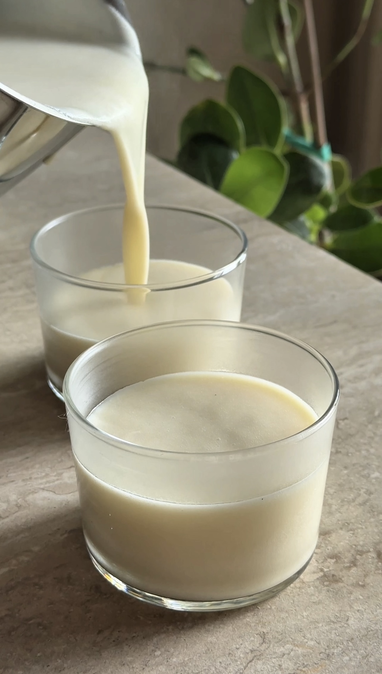 Budini kiwi e vaniglia ricetta step 3