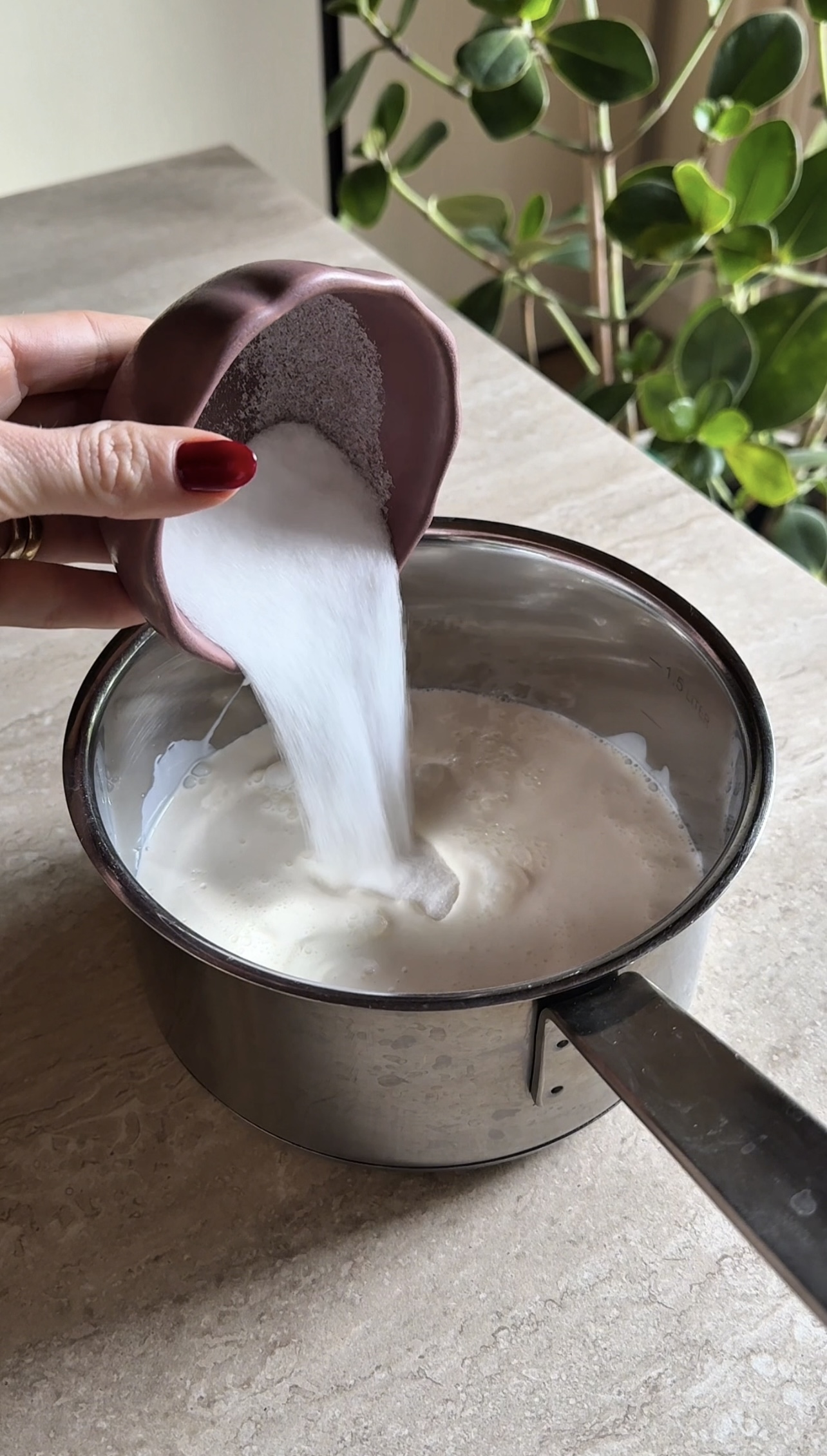 Panna cotta alle albicocche ricetta step 1