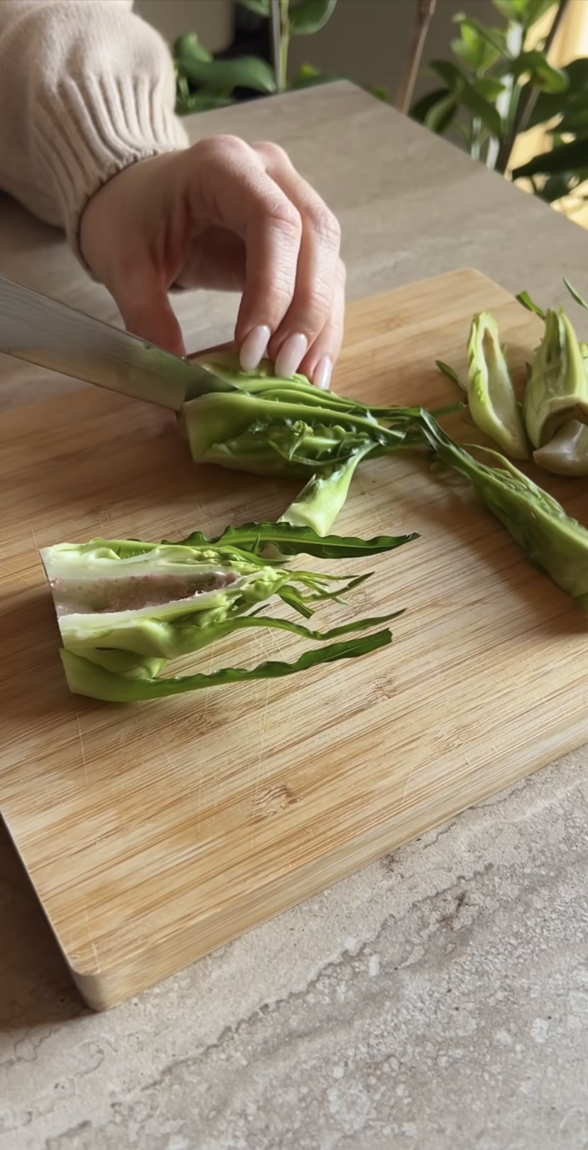 Puntarelle al forno ricetta step 1