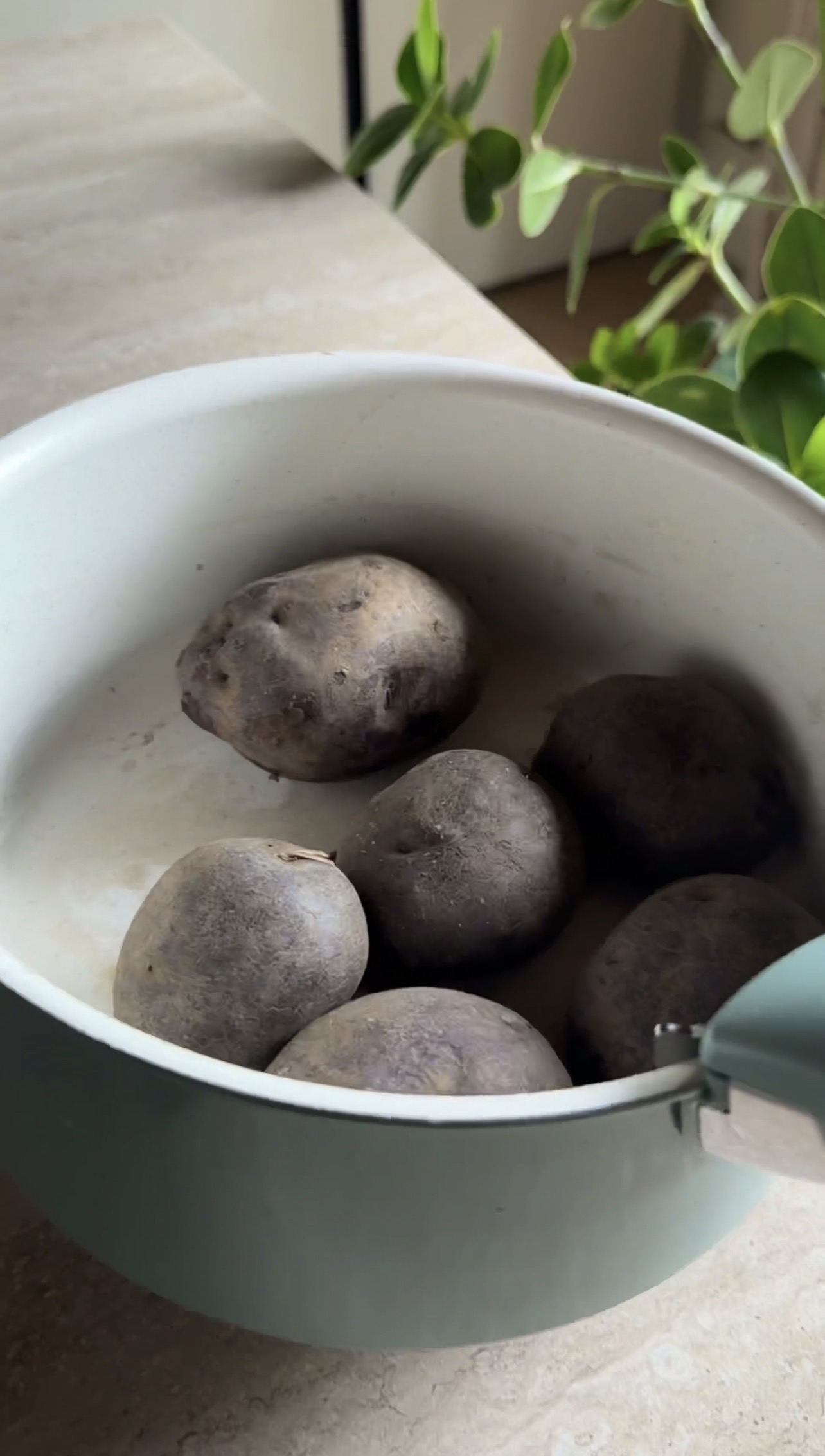Gnocchi viola ricetta step 1