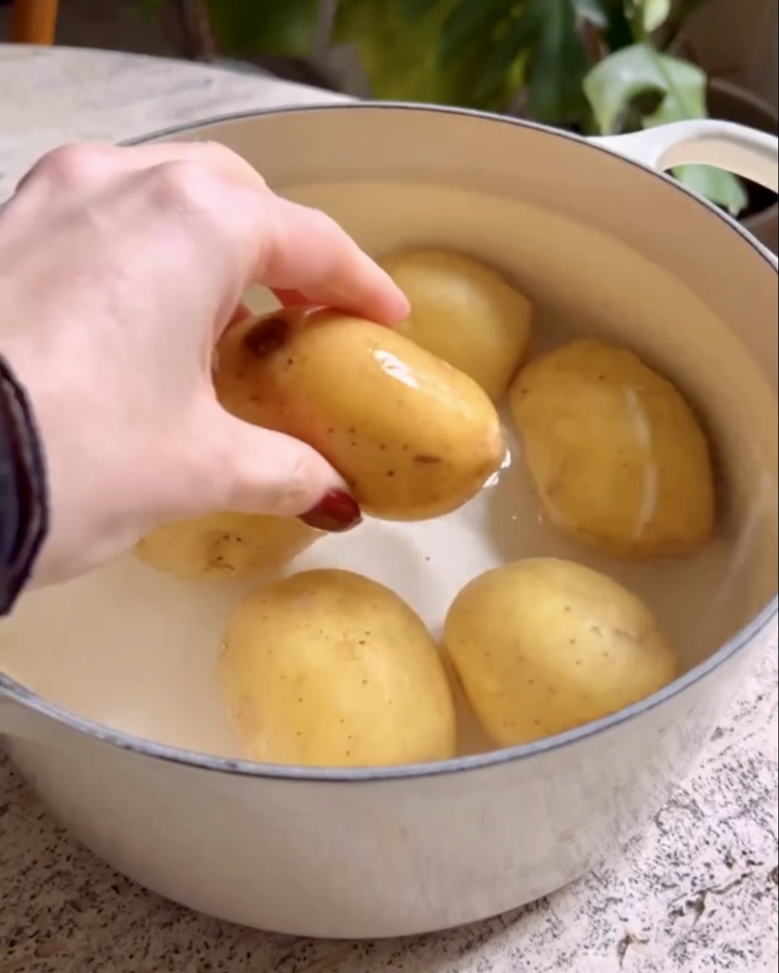 Sformato di patate e agretti  ricetta step 1