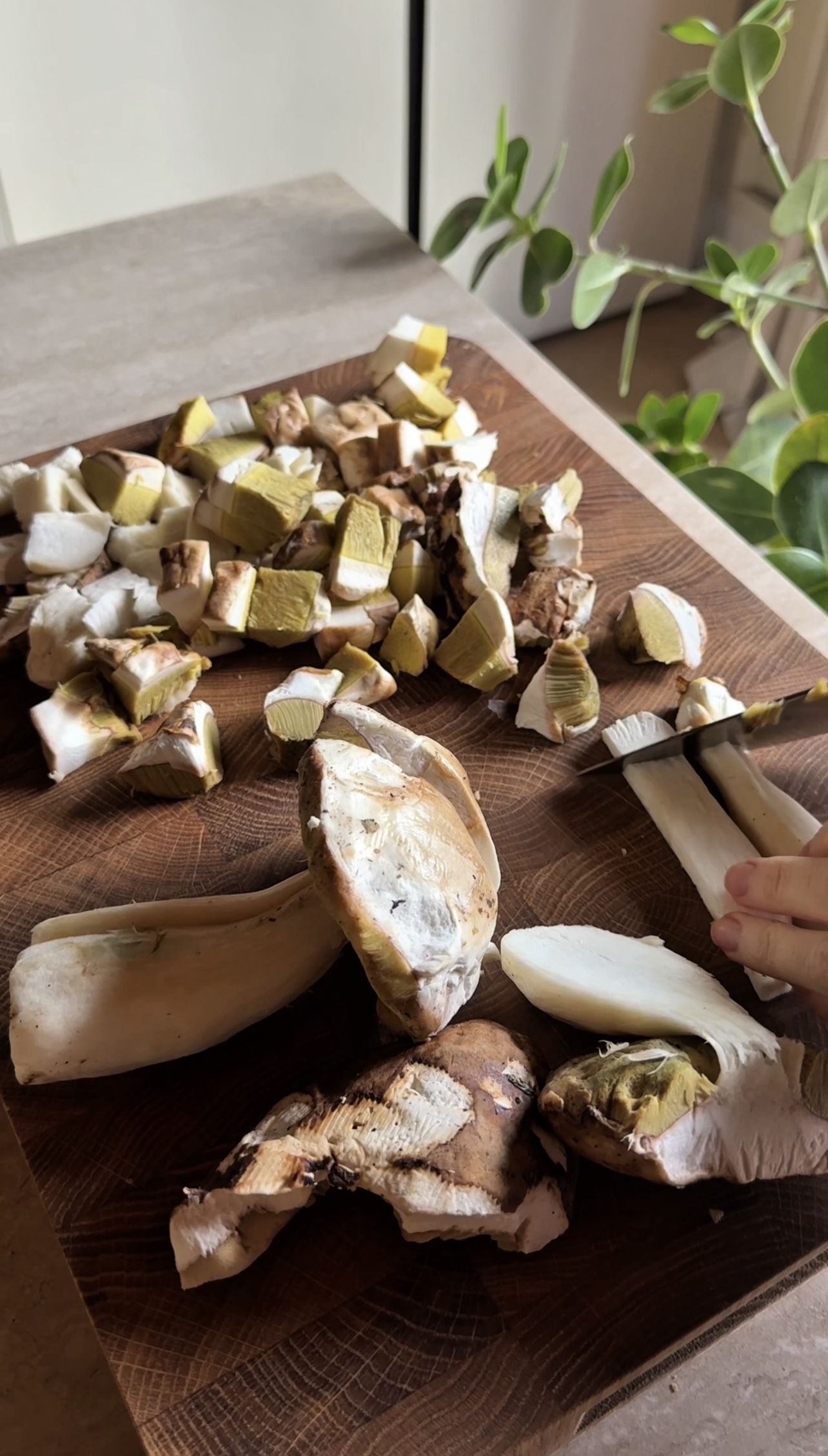 Pasta con crema di zafferano e funghi ricetta step 1