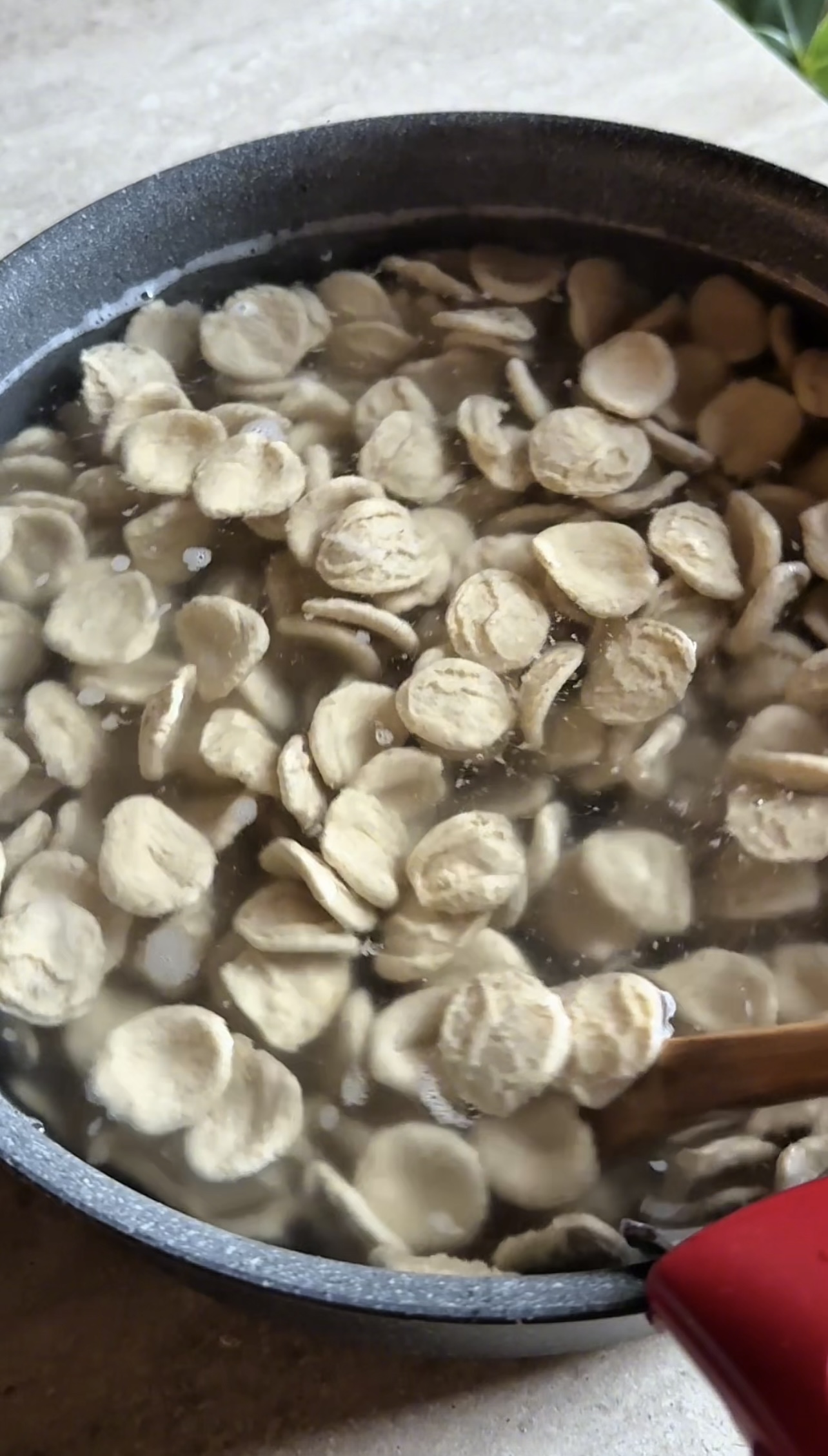 Pasta al pesto di cavolo riccio ricetta step 4