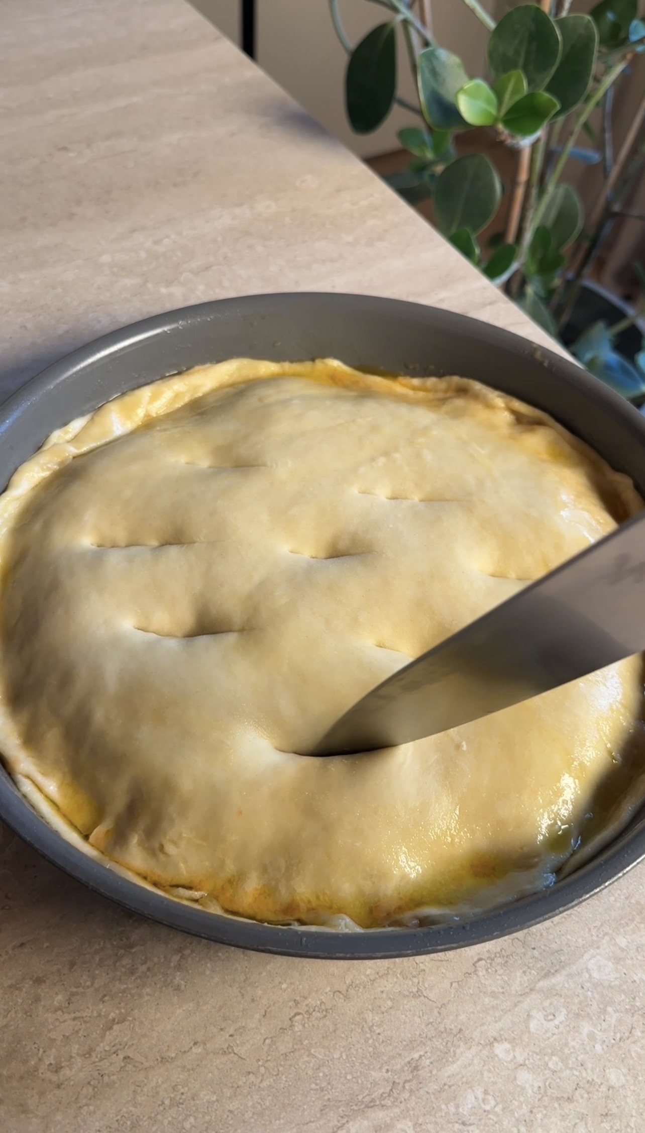 Calzone di cipolle ricetta step 6