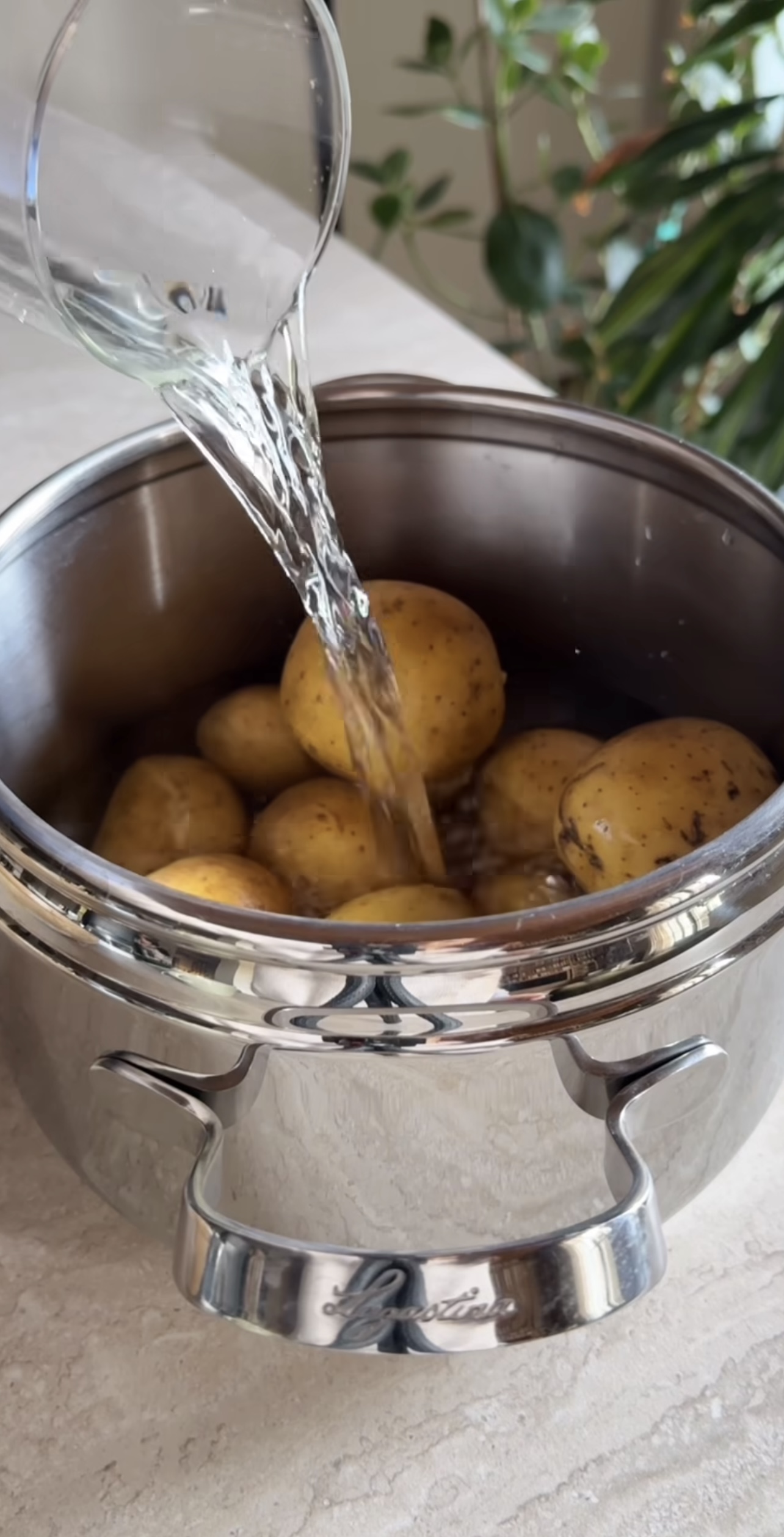 Spezzatino di soia e purè ricetta step 3