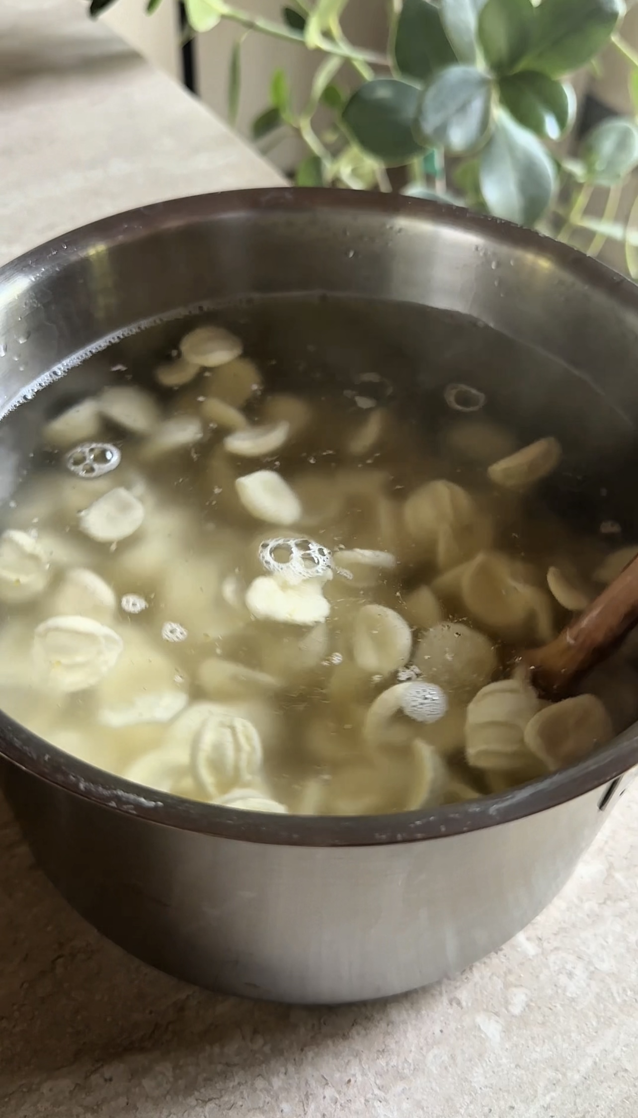 Orecchiette alla crudaiola ricetta step 2