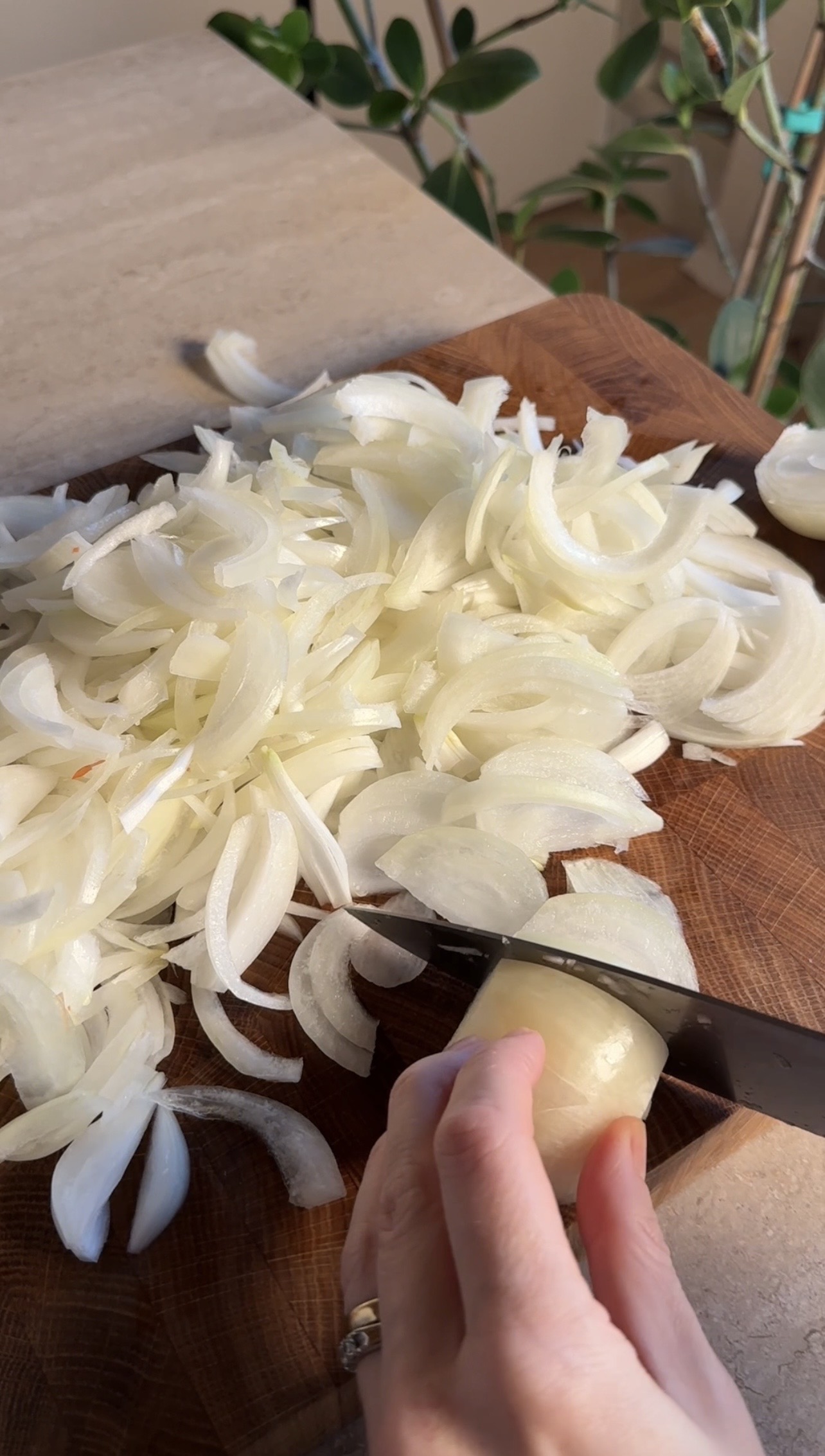 Calzone di cipolle ricetta step 1