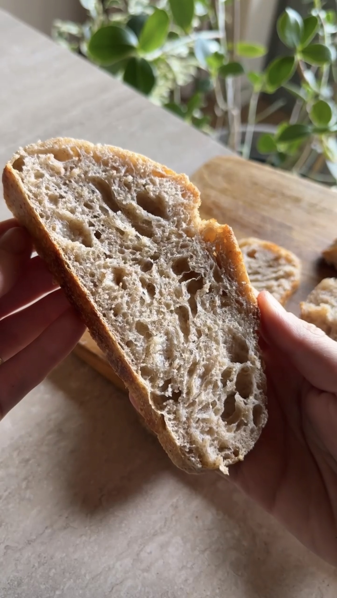 Pane con lievito madre ricetta step 2