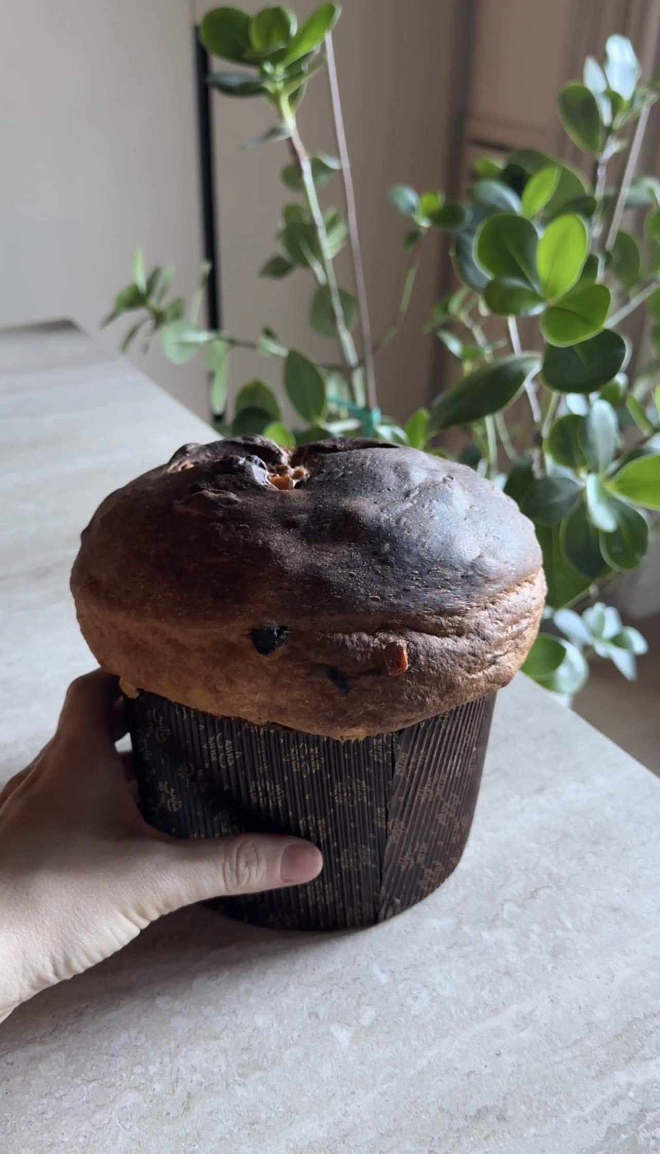 Panettone ricetta step 8