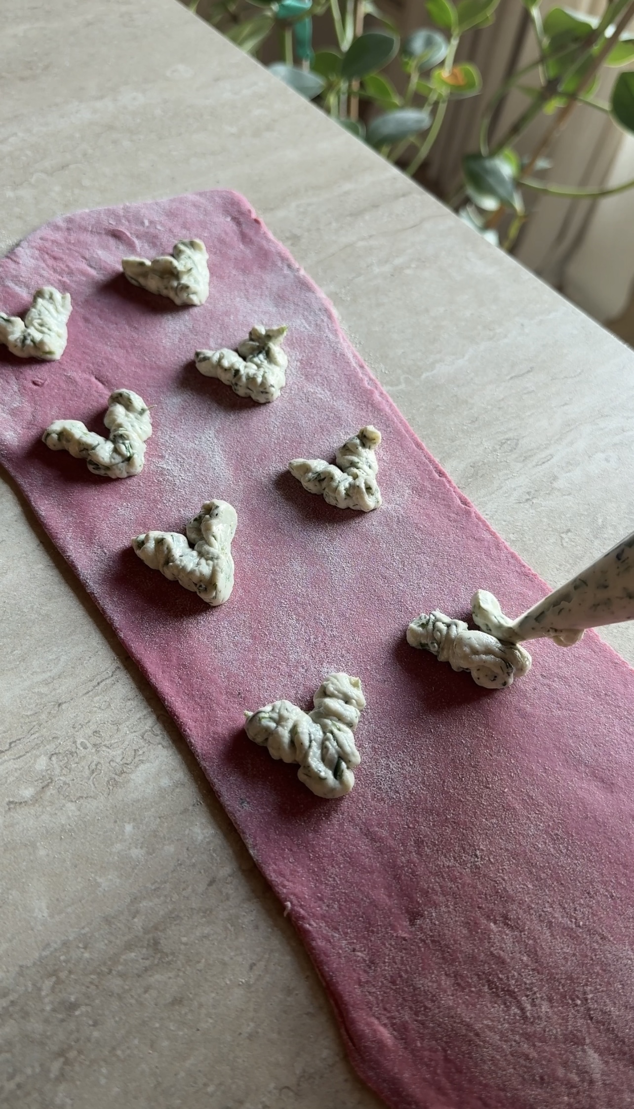 Ravioli di barbabietola alle erbe aromatiche ricetta step 5
