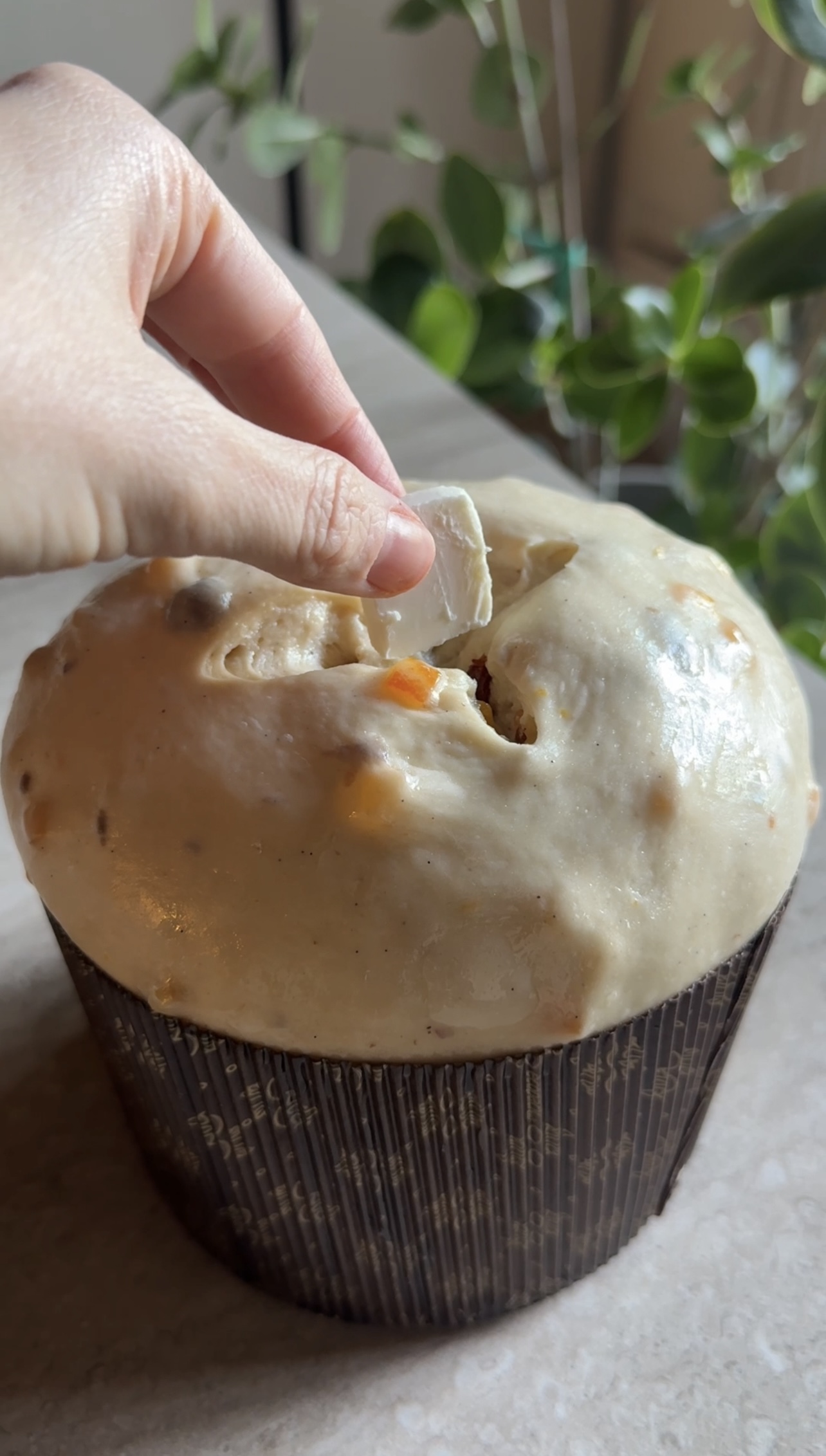 Panettone ricetta step 7