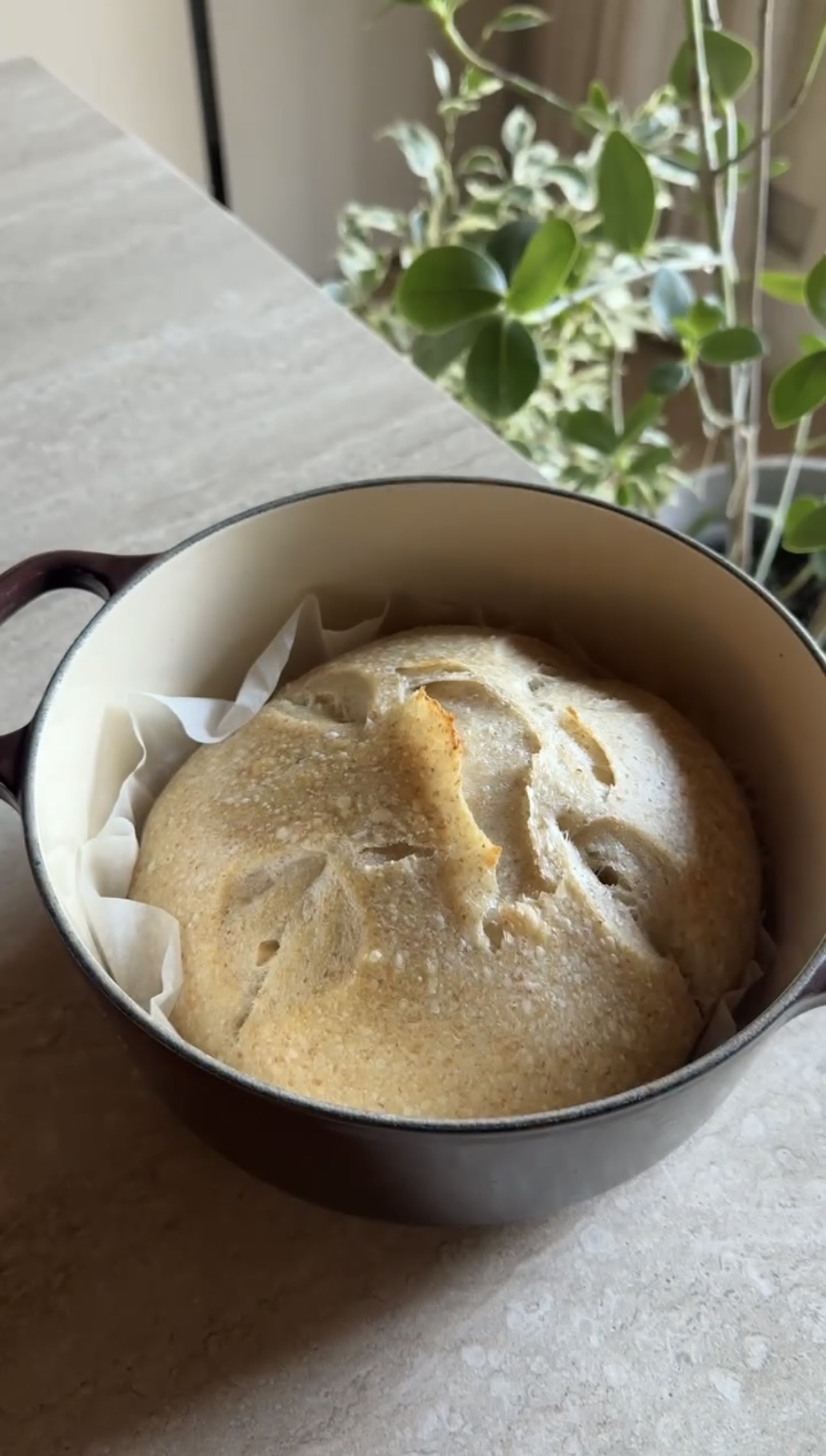 Pane con lievito madre ricetta step 9