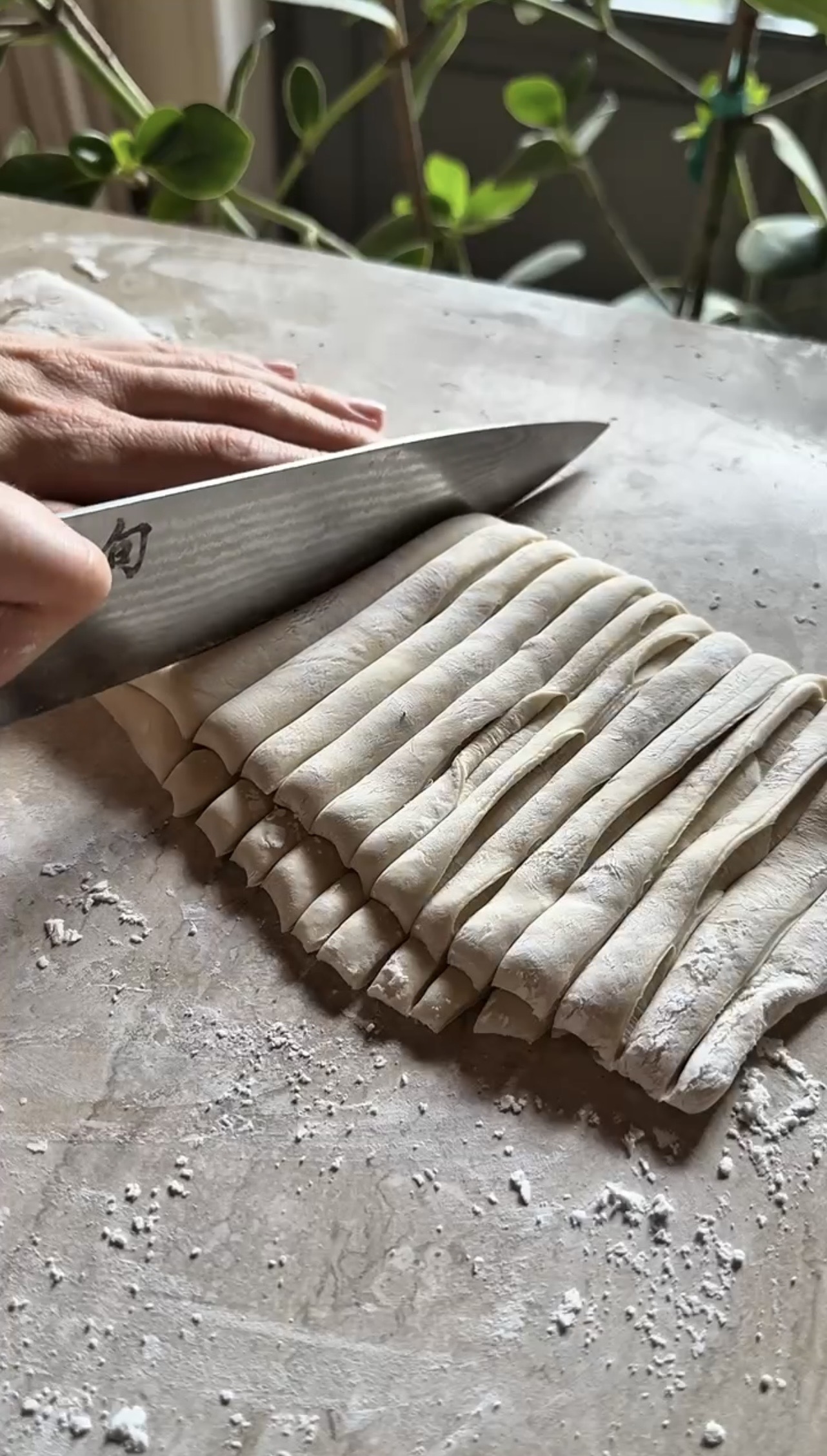 Udon al sesamo ricetta step 4