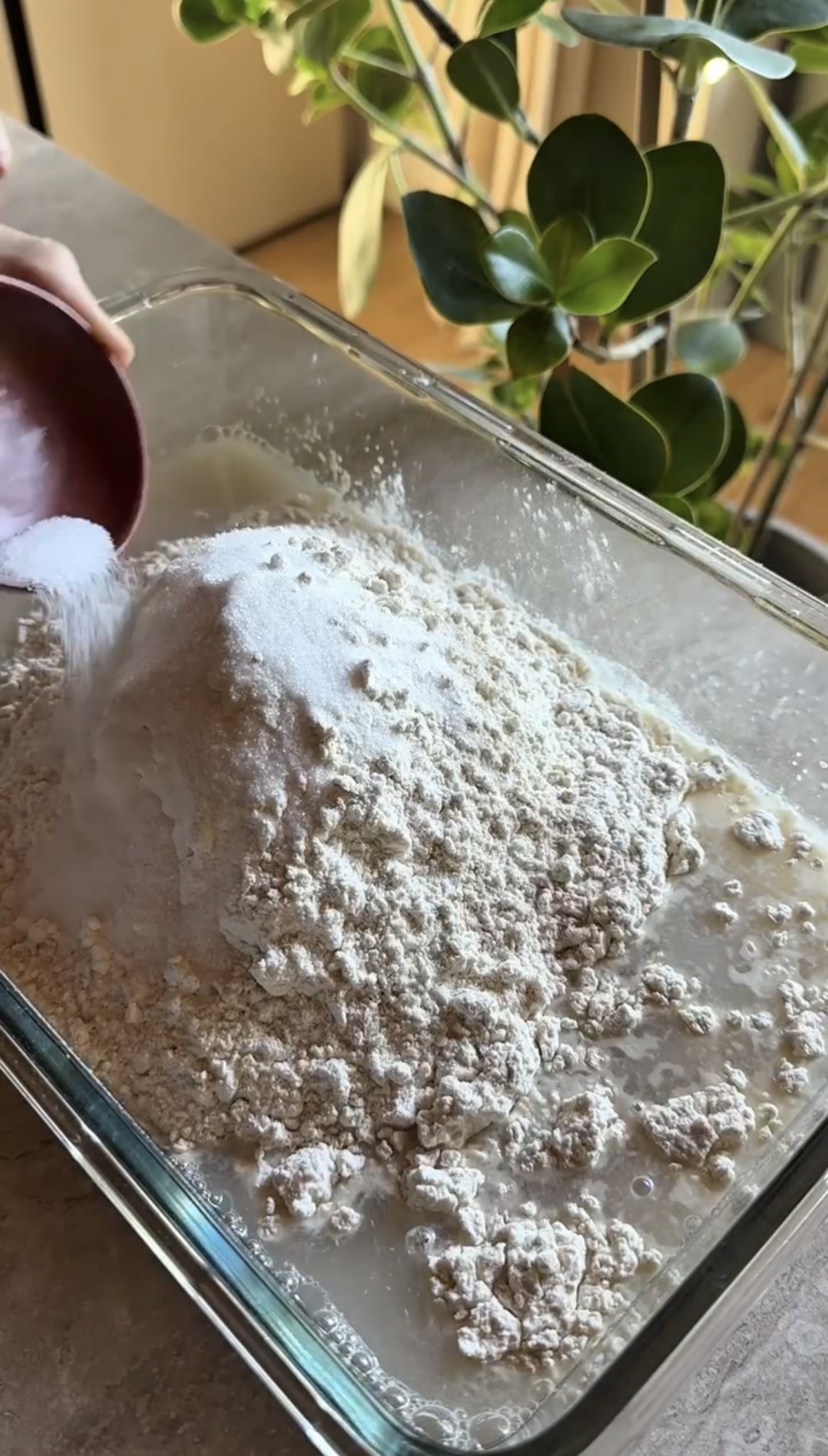 Pizza in friggitrice ad aria ricetta step 2