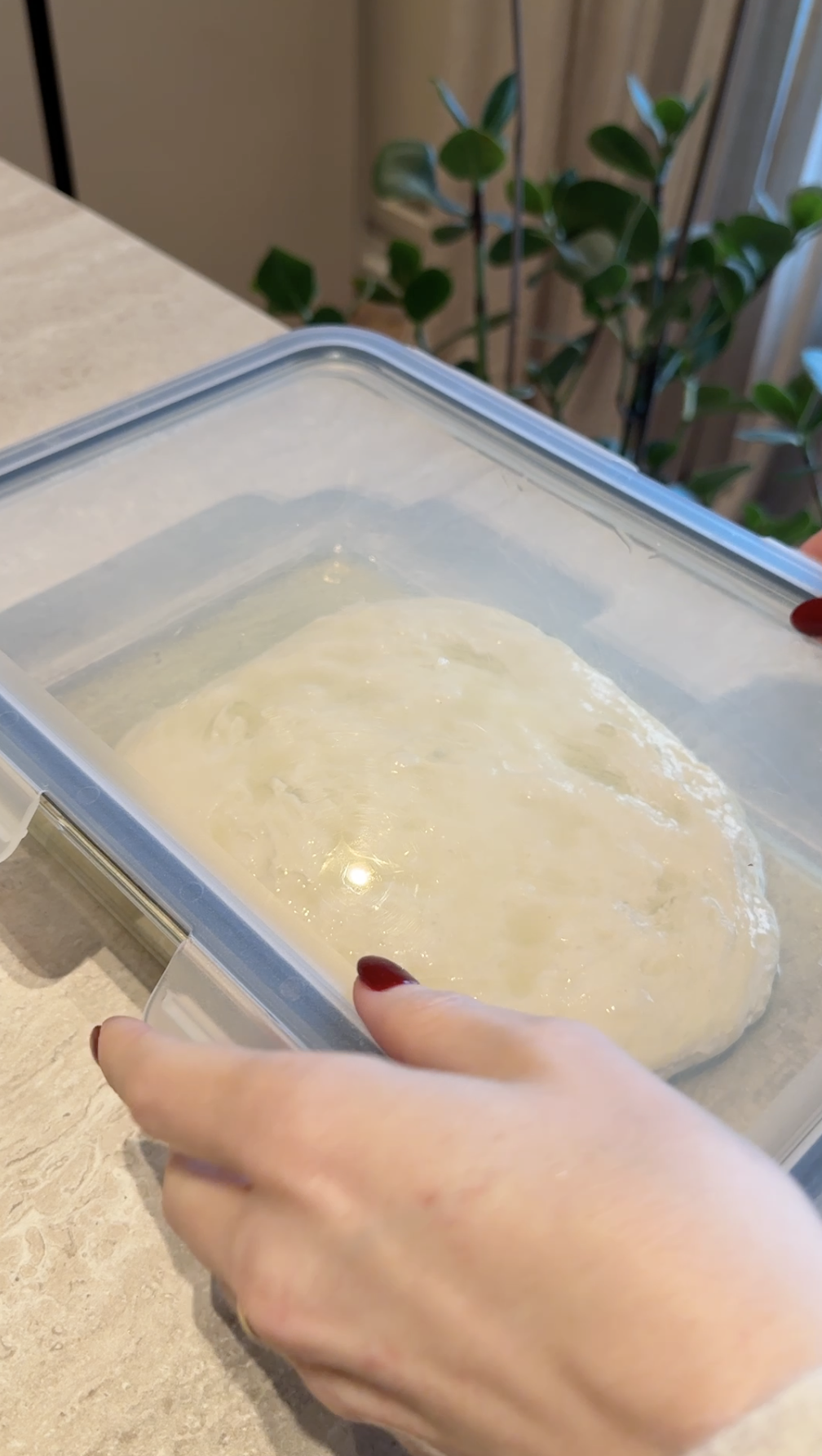 Focaccia con patate e cipolle ricetta step 2