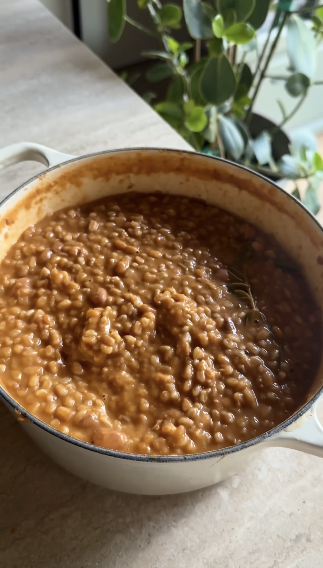 Zuppa di borlotti e farro ricetta step 5