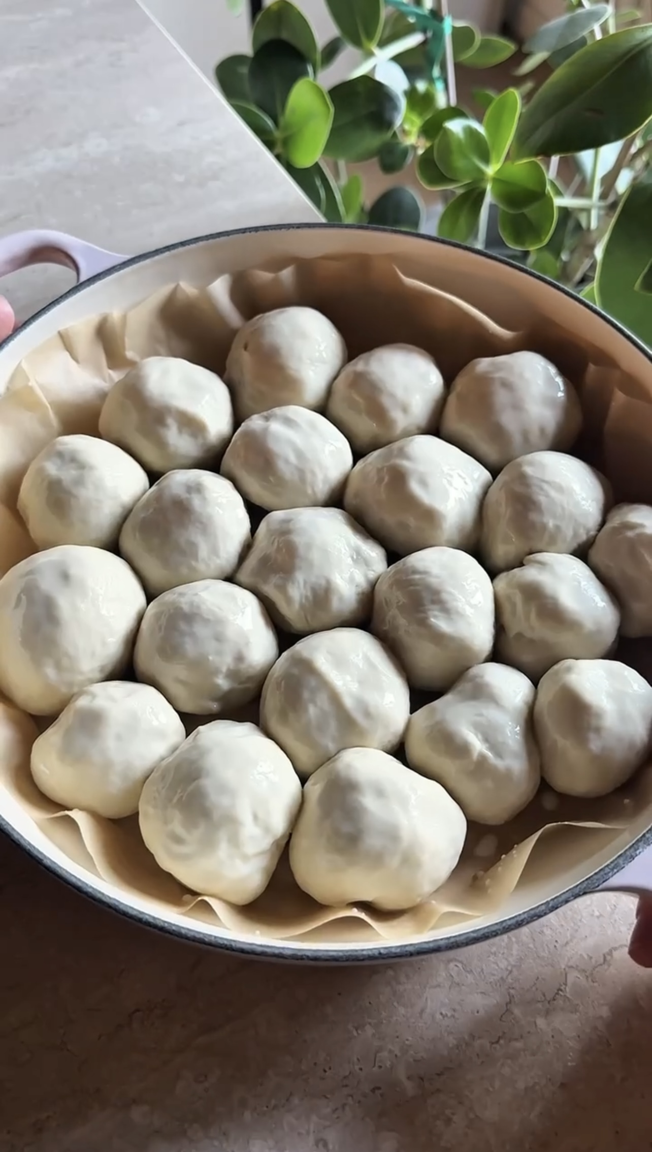 Panini soffici al “formaggio” e aglio ricetta step 5