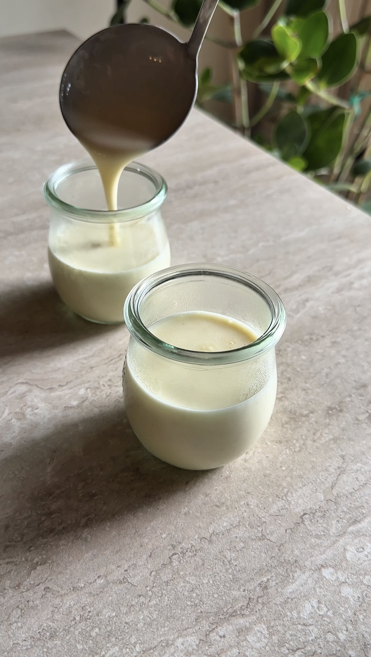 Panna cotta alle albicocche ricetta step 3