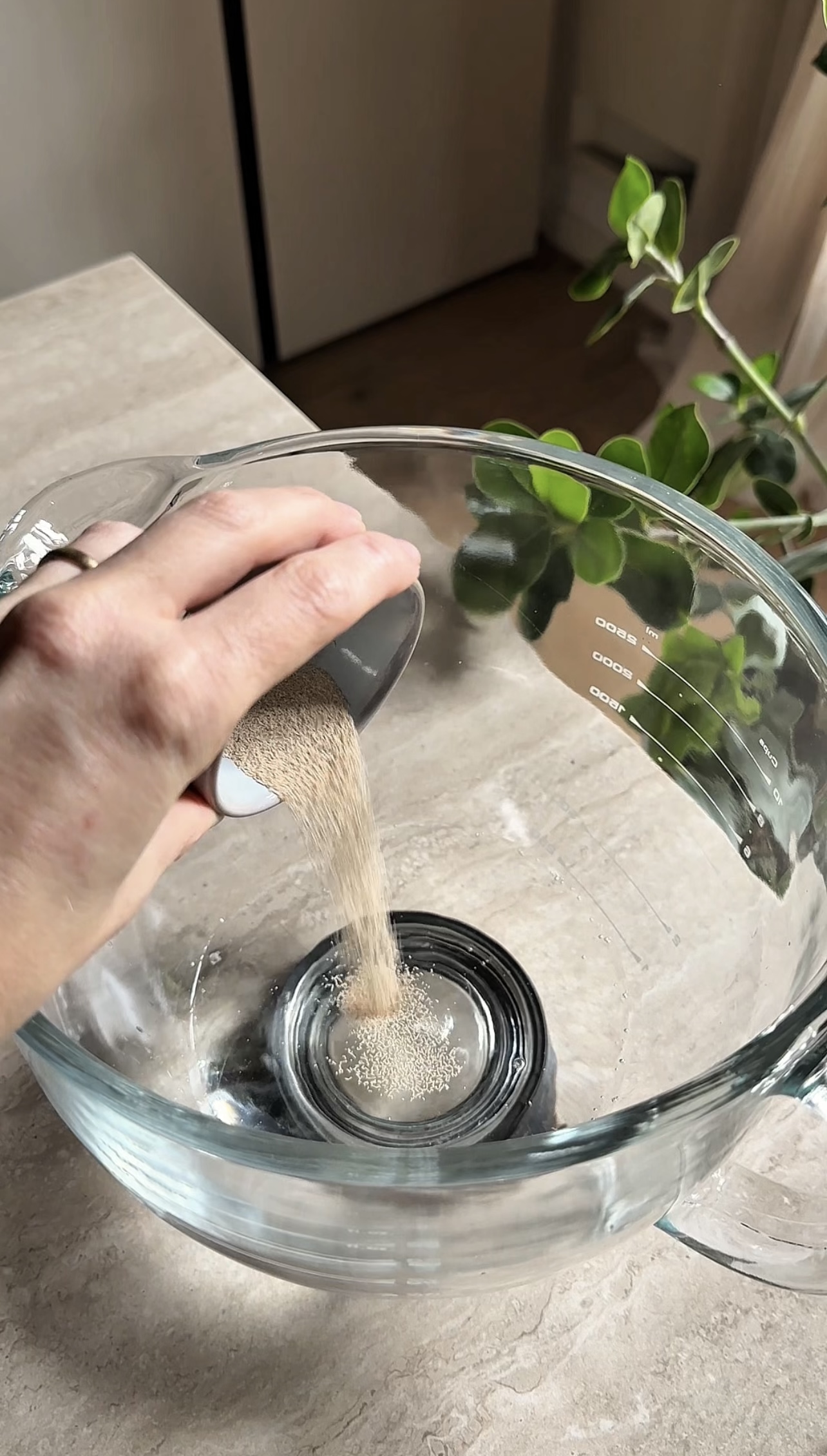 Panettone ricetta step 1