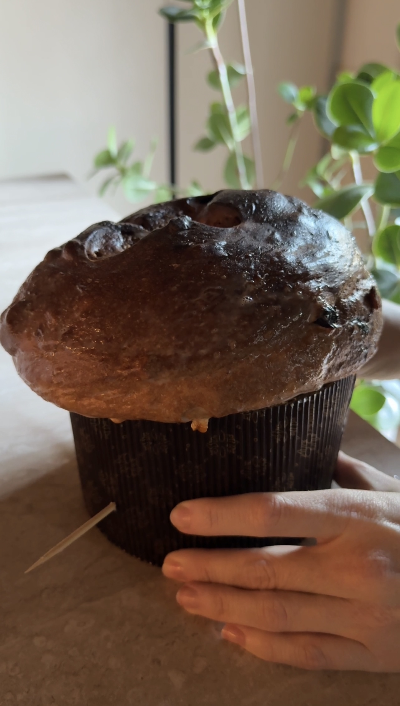 Panettone ricetta step 9