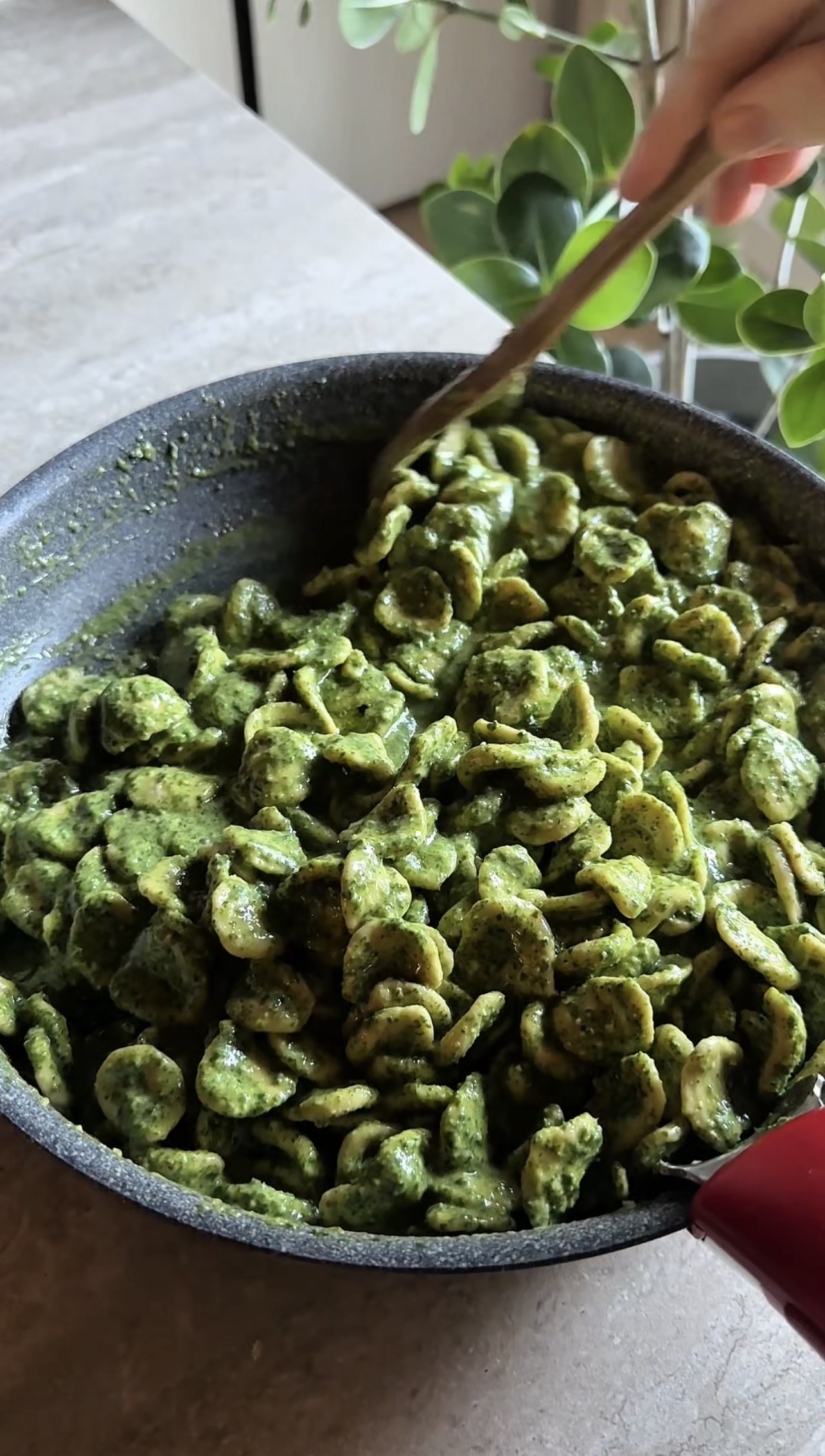 Pasta al pesto di cavolo riccio ricetta step 5