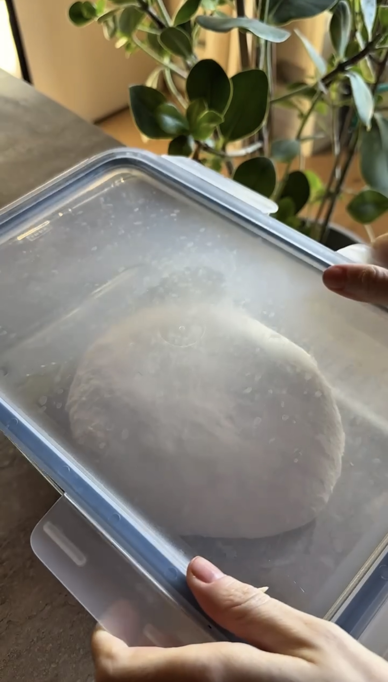 Pizza in friggitrice ad aria ricetta step 4