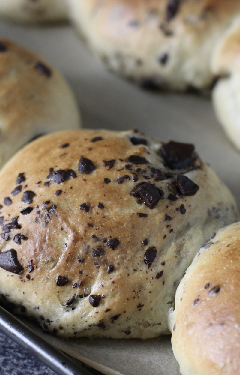 Panini morbidi al cioccolato ricetta