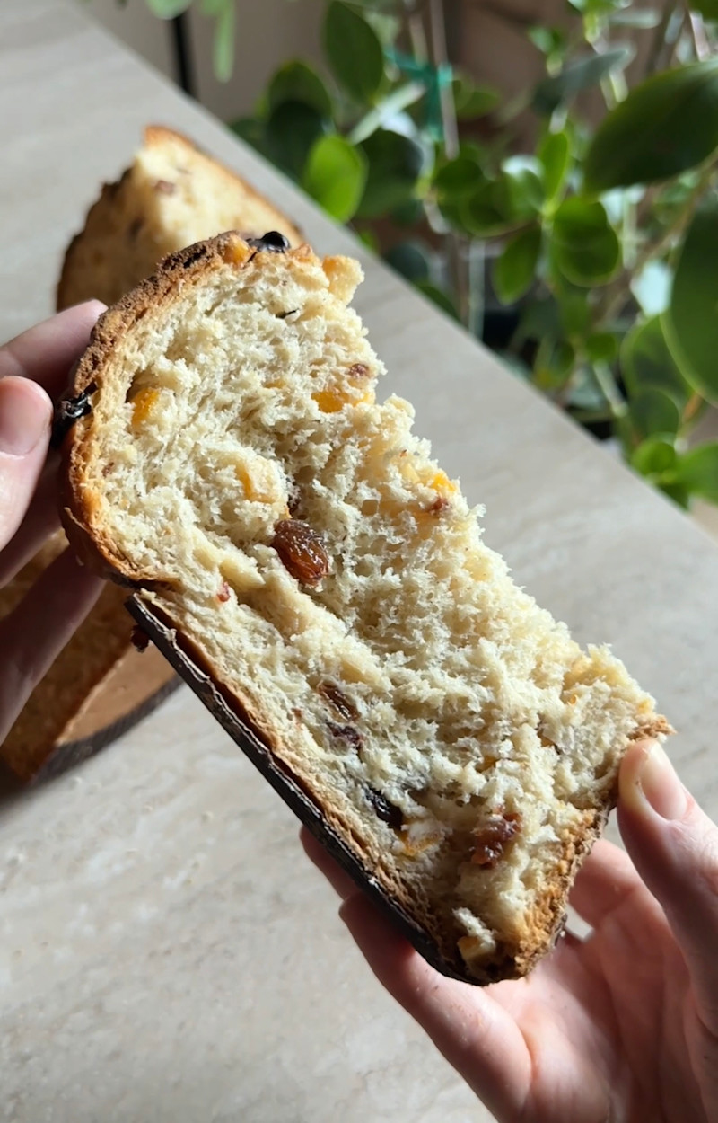 Panettone ricetta
