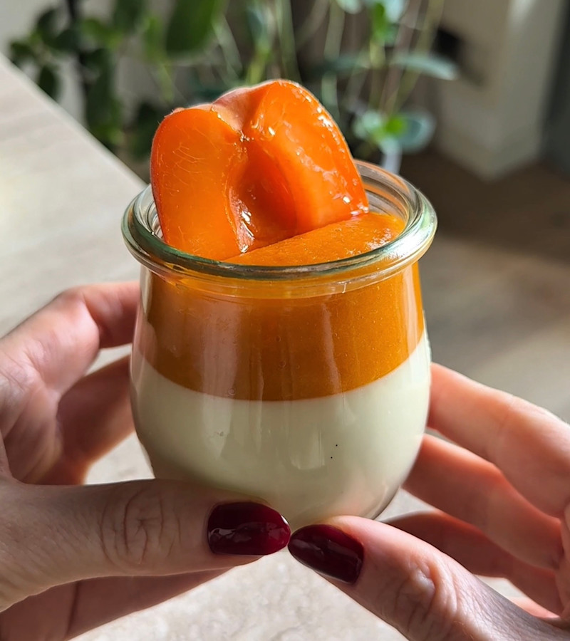 Panna cotta alle albicocche ricetta
