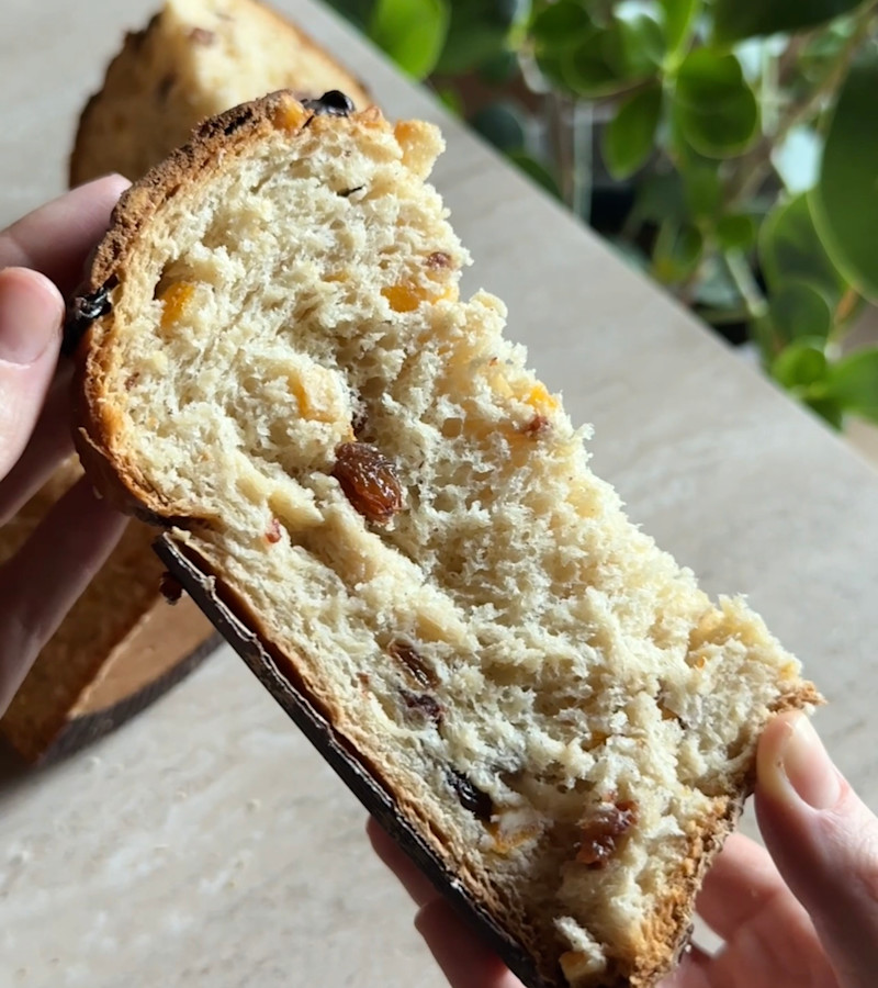 Panettone ricetta